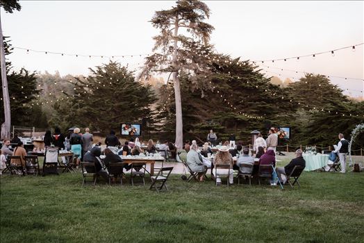 Final-6733.jpg by Sarah Williams