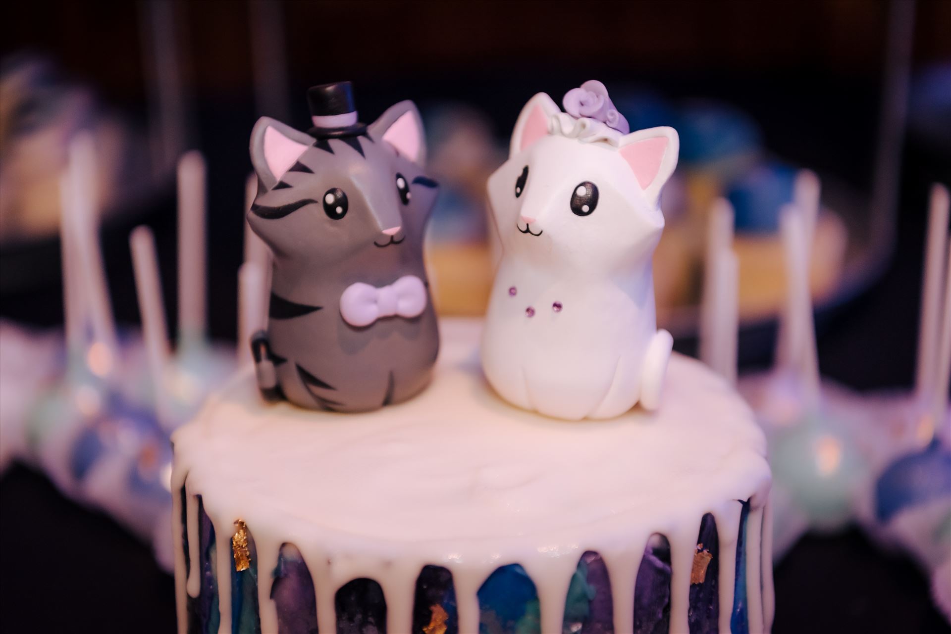 WF--87.JPG  by Karaleigh and Deaven