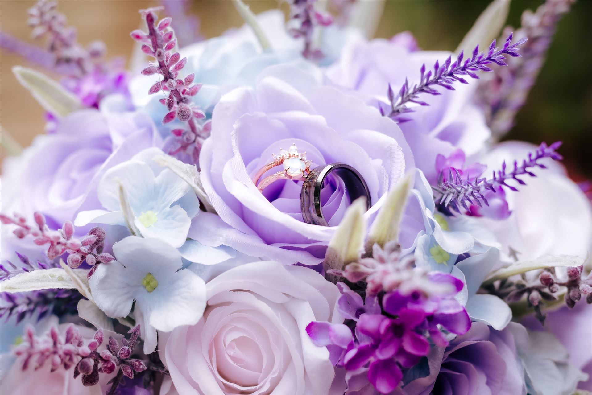 WF-0393.JPG  by Karaleigh and Deaven