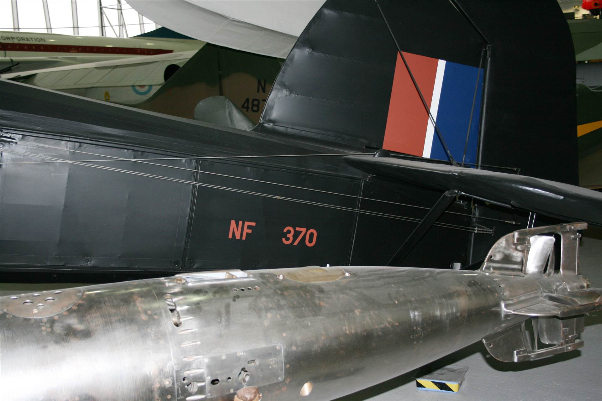 IMG_0117.JPG  by pat65