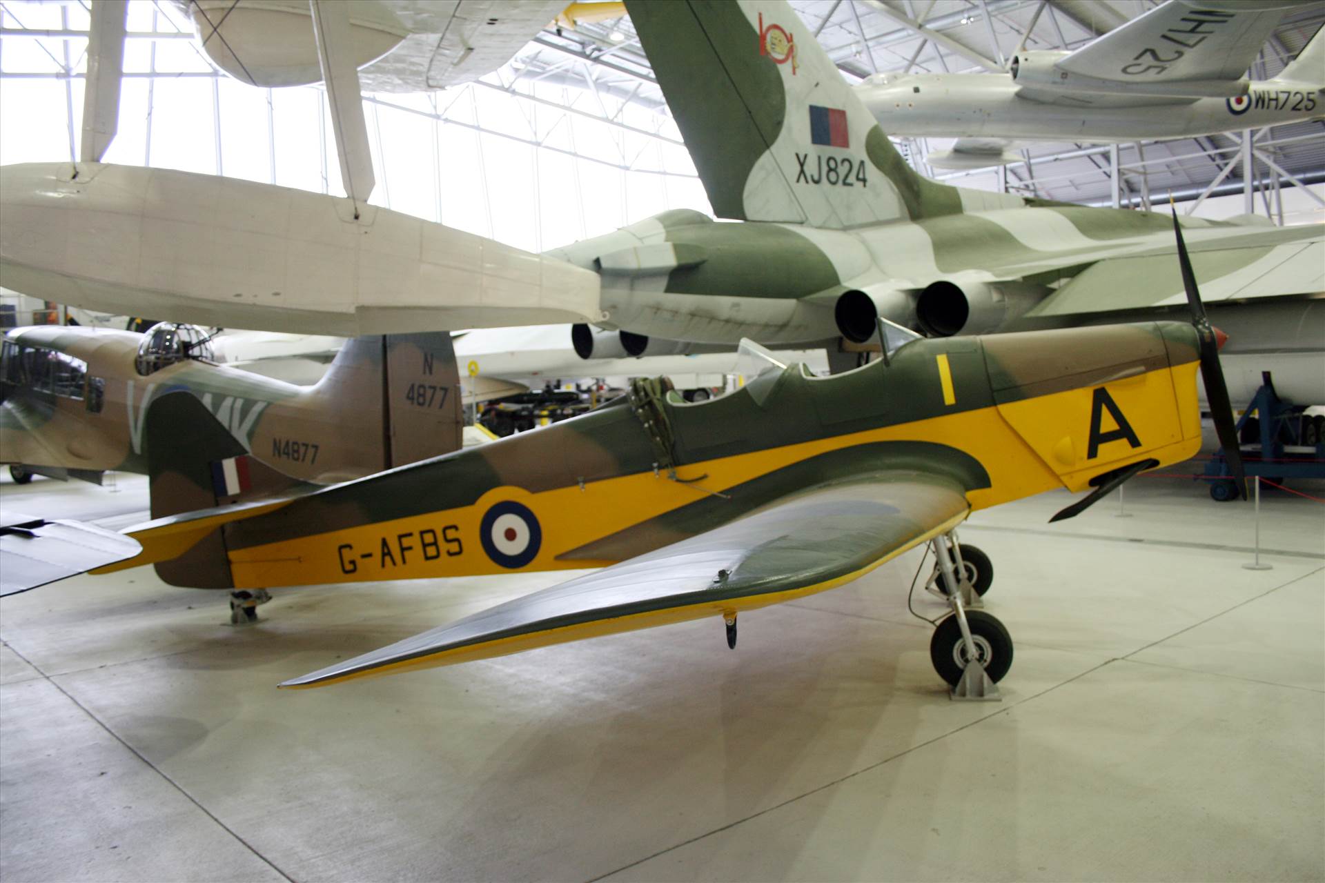 IMG_0661.JPG  by pat65