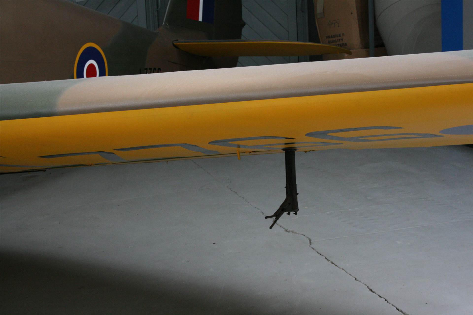 IMG_3835.JPG  by pat65