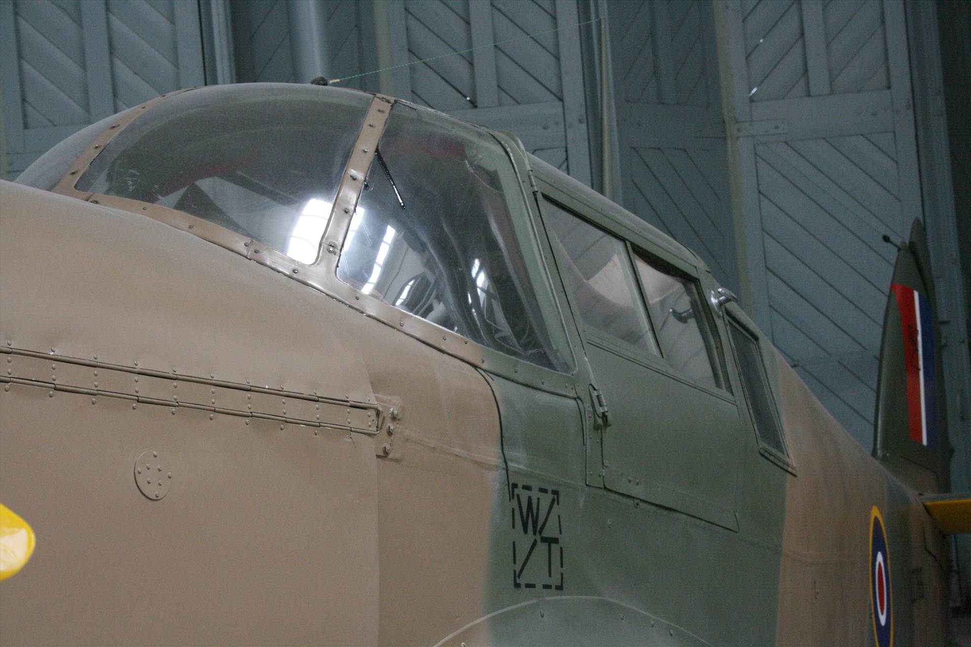 IMG_3844.JPG  by pat65