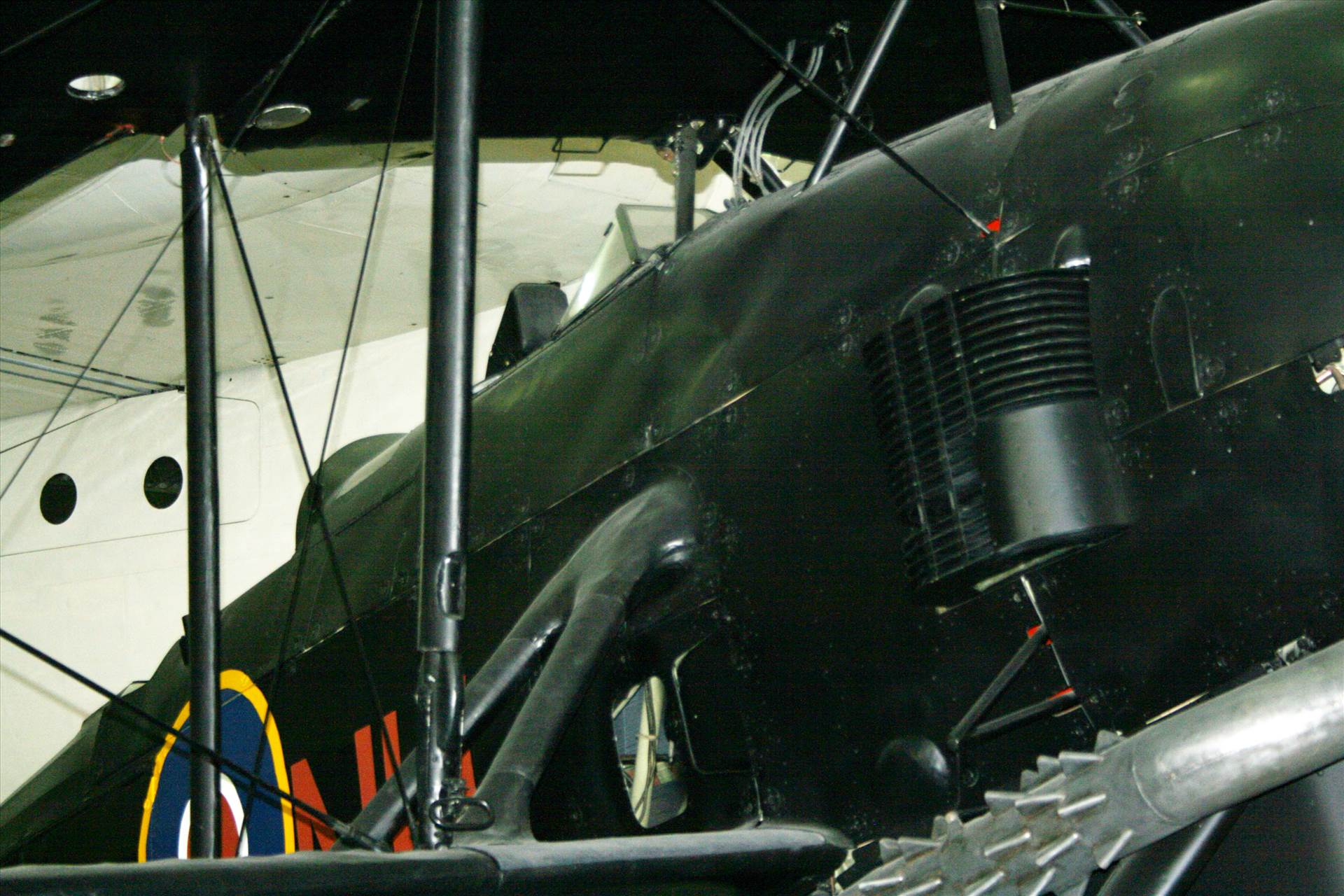 IMG_0130.JPG  by pat65