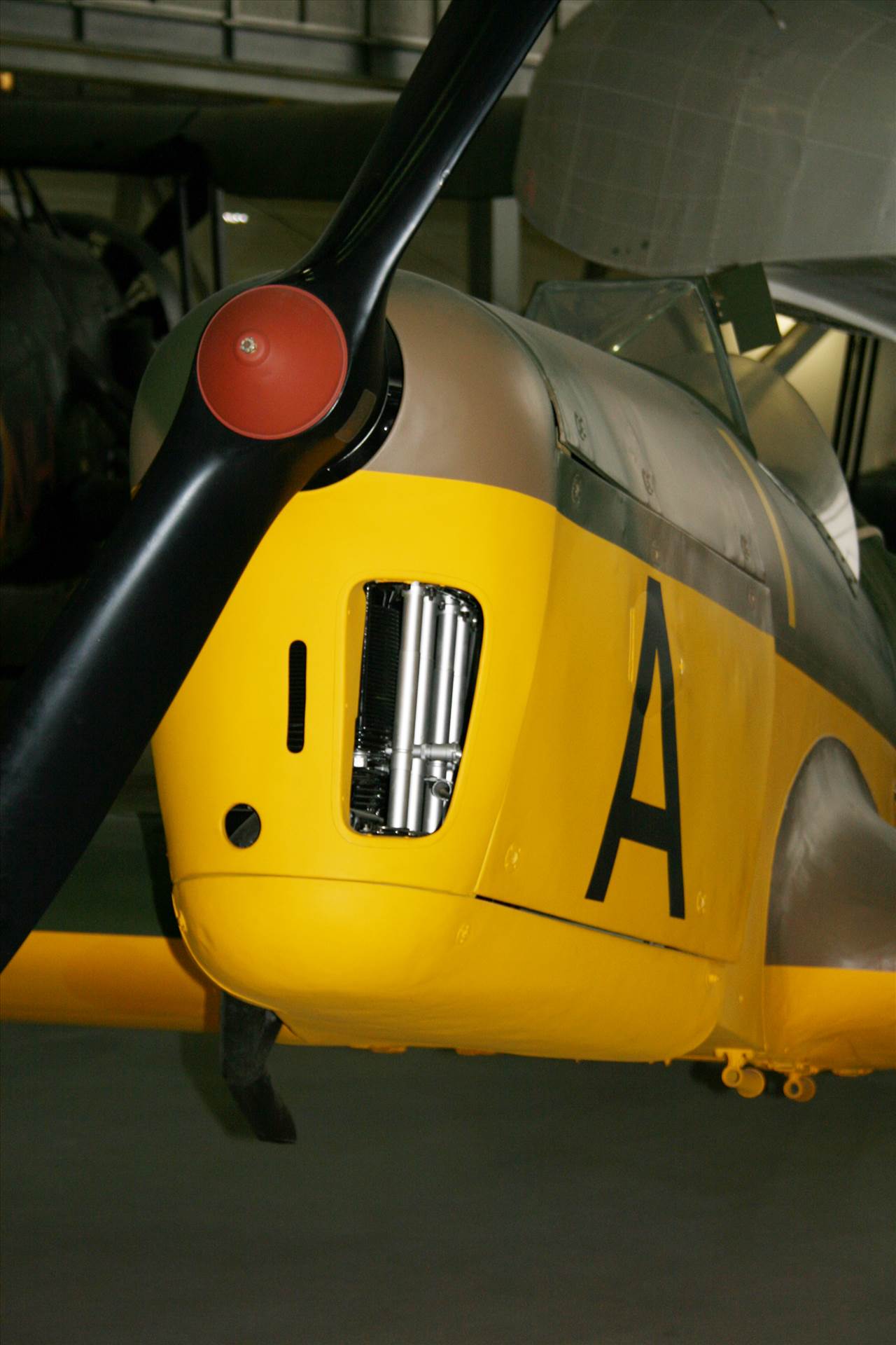 IMG_0111.JPG  by pat65