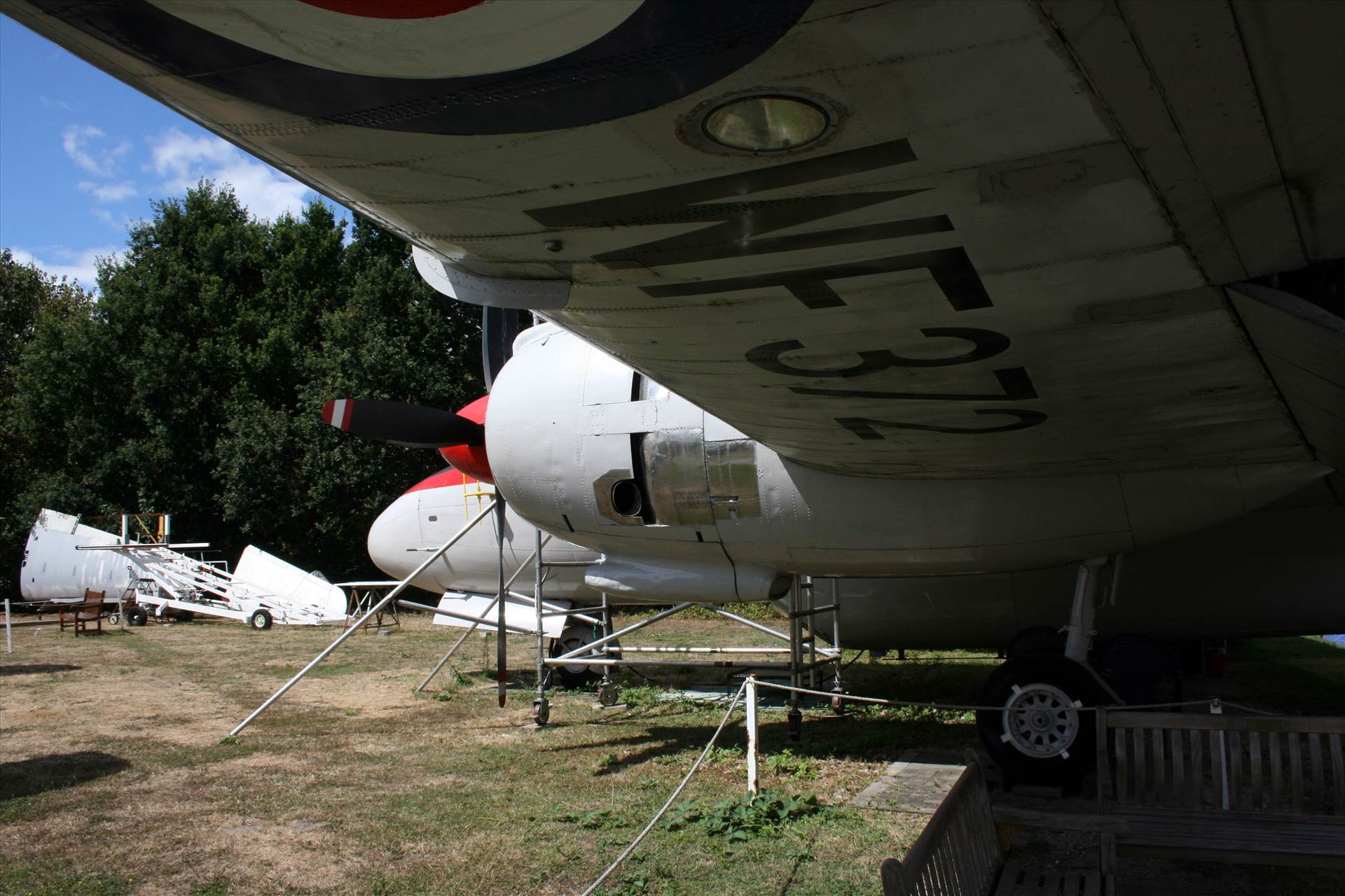 IMG_0595.JPG  by pat65