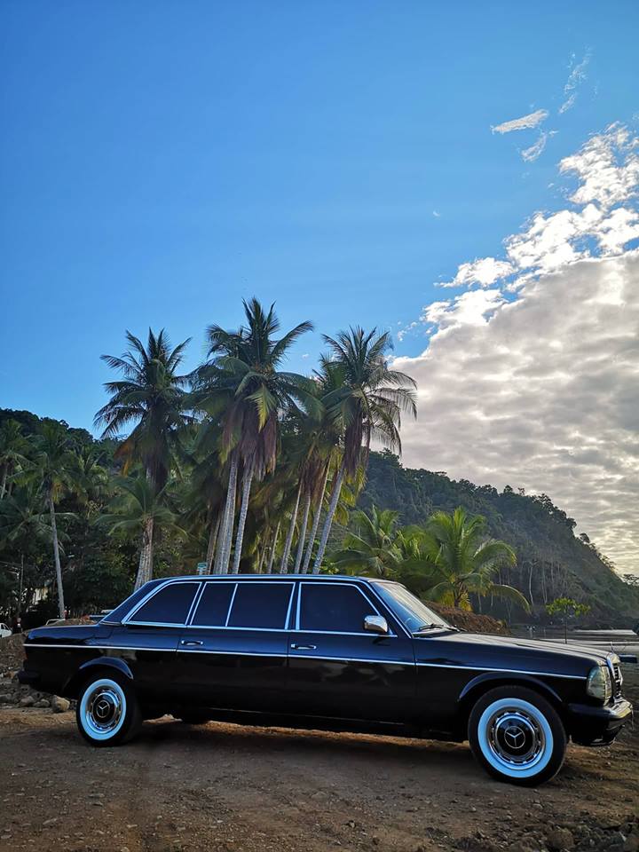 JACO BEACH PALM TREE LIMOUSINE COSTA RICA.jpg  by richardblank