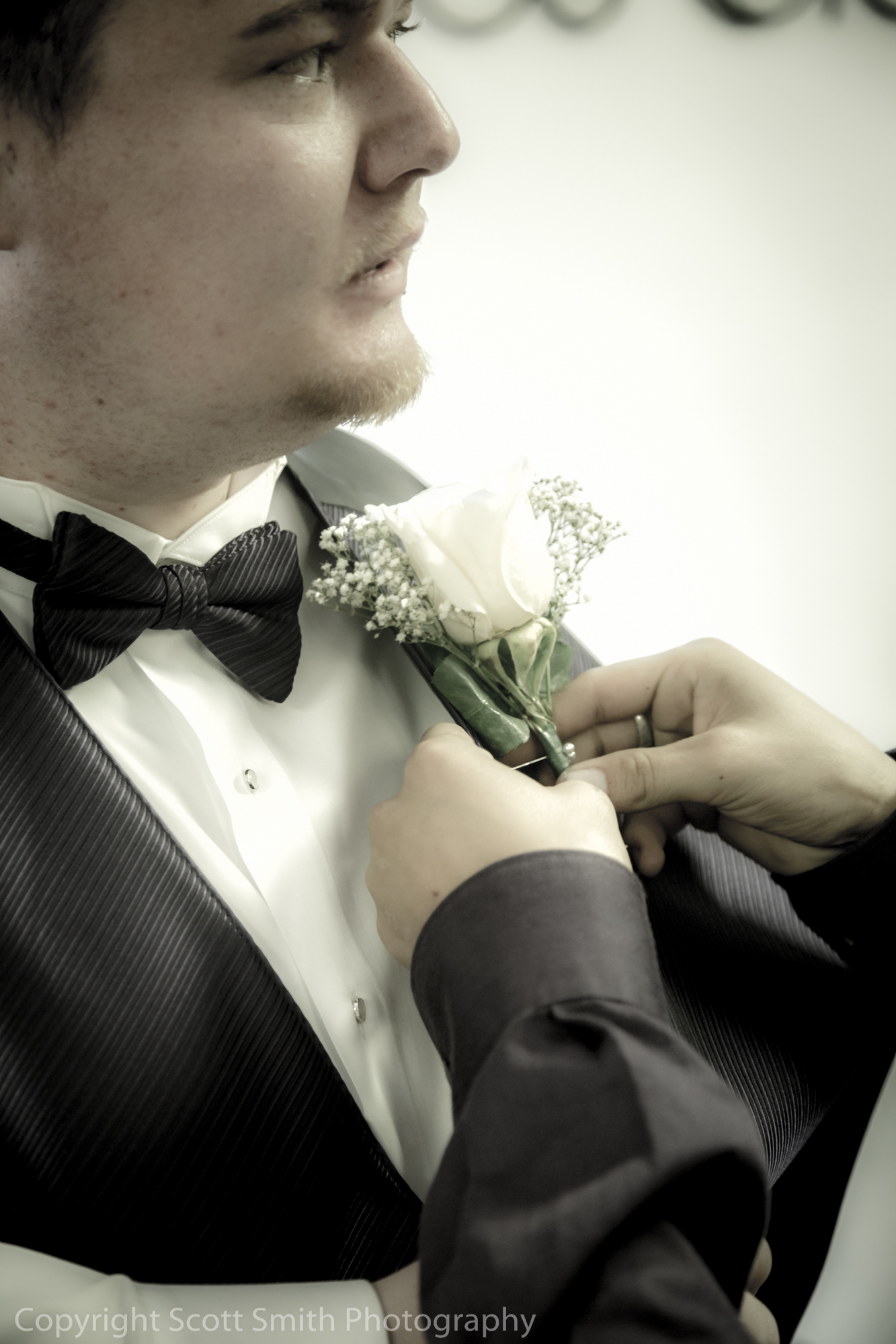 Pinned  by Scott Smith Photos