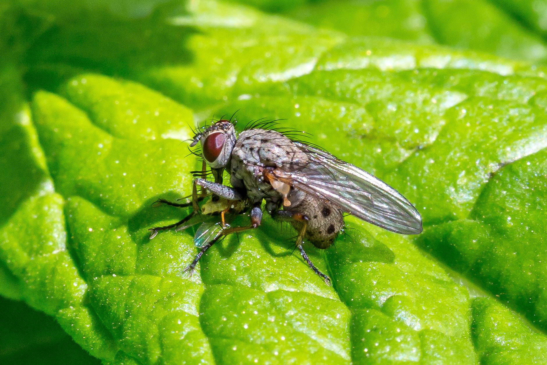 BC4C2569.jpg  by Scott Smith Photos