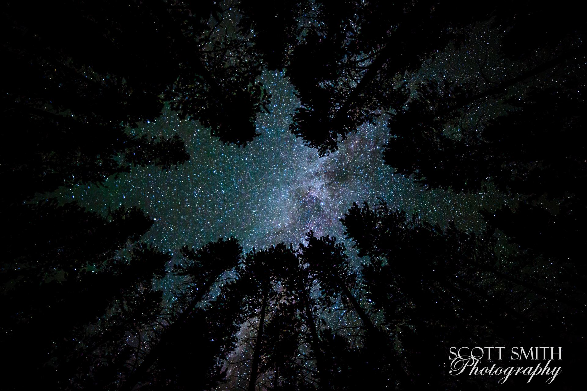 Camping with a View - Landscape A beautiful view of the milky way from our campsite at Turquoise Lake, Leadville Colorado, adjusted for portrait view. by Scott Smith Photos