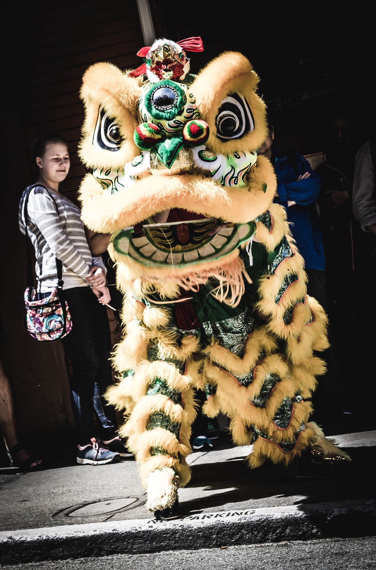 Chinatown Dragons  by Scott Smith Photos
