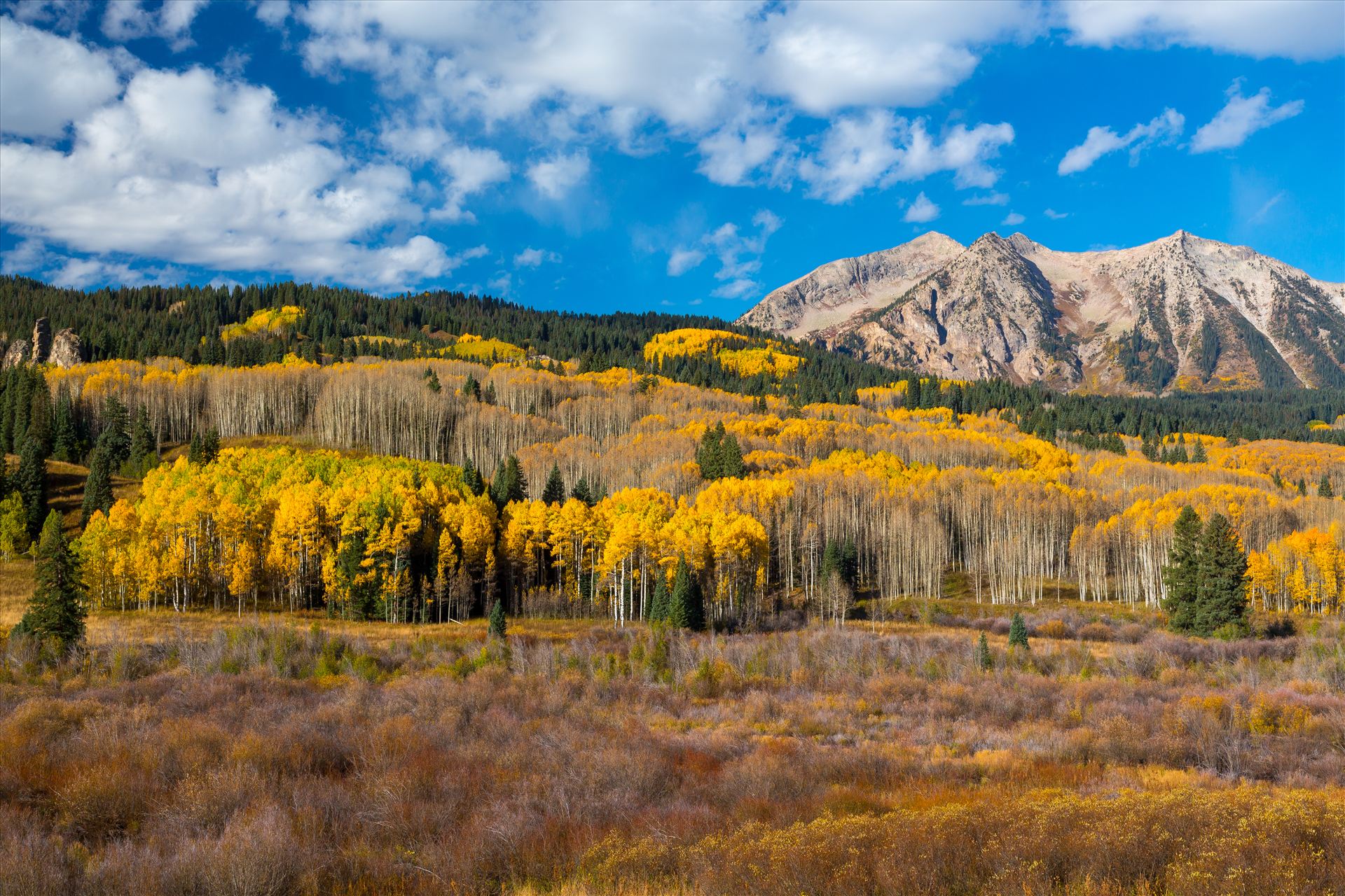 East Beckwith Mountain East Beckwith mountain surrounded by fall colors. Taken a few steps off Kebler Pass, Crested Butte, Colorado. by Scott Smith Photos