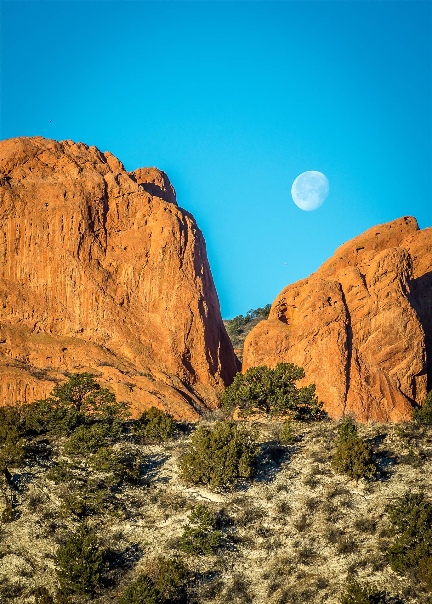 Moon Setting between the Gods Moon setting over the Garden of the Gods. by Scott Smith Photos