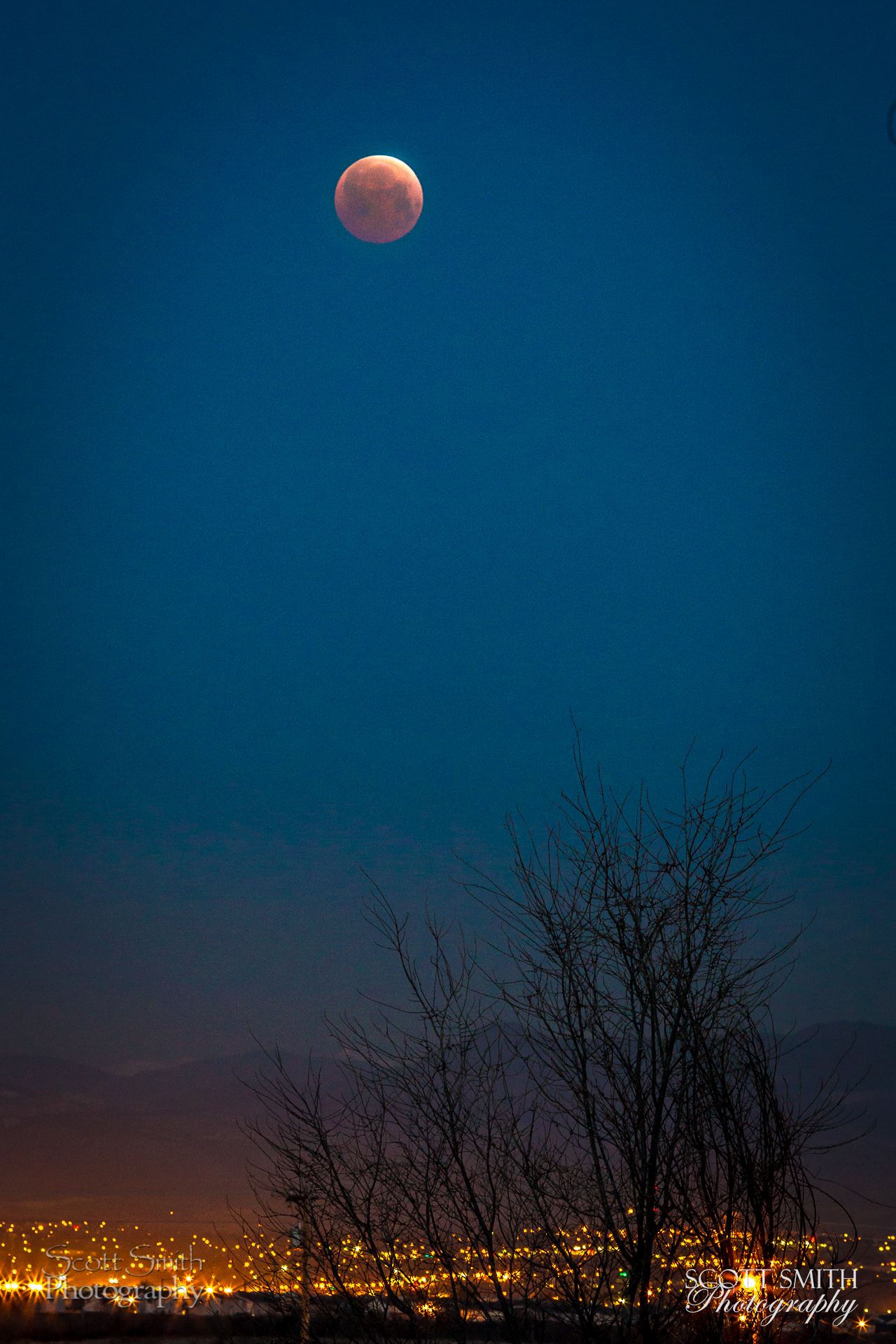 Blood Moon over Denver, Colorado Lunar Eclipse ad blood moon, April 4 2015 from Denver, Colorado. by Scott Smith Photos