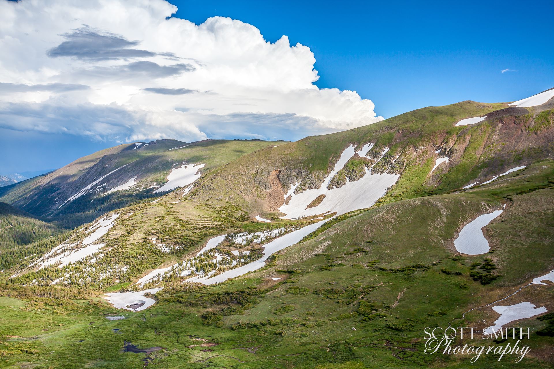 Rocky Mountain National Park 2  by Scott Smith Photos