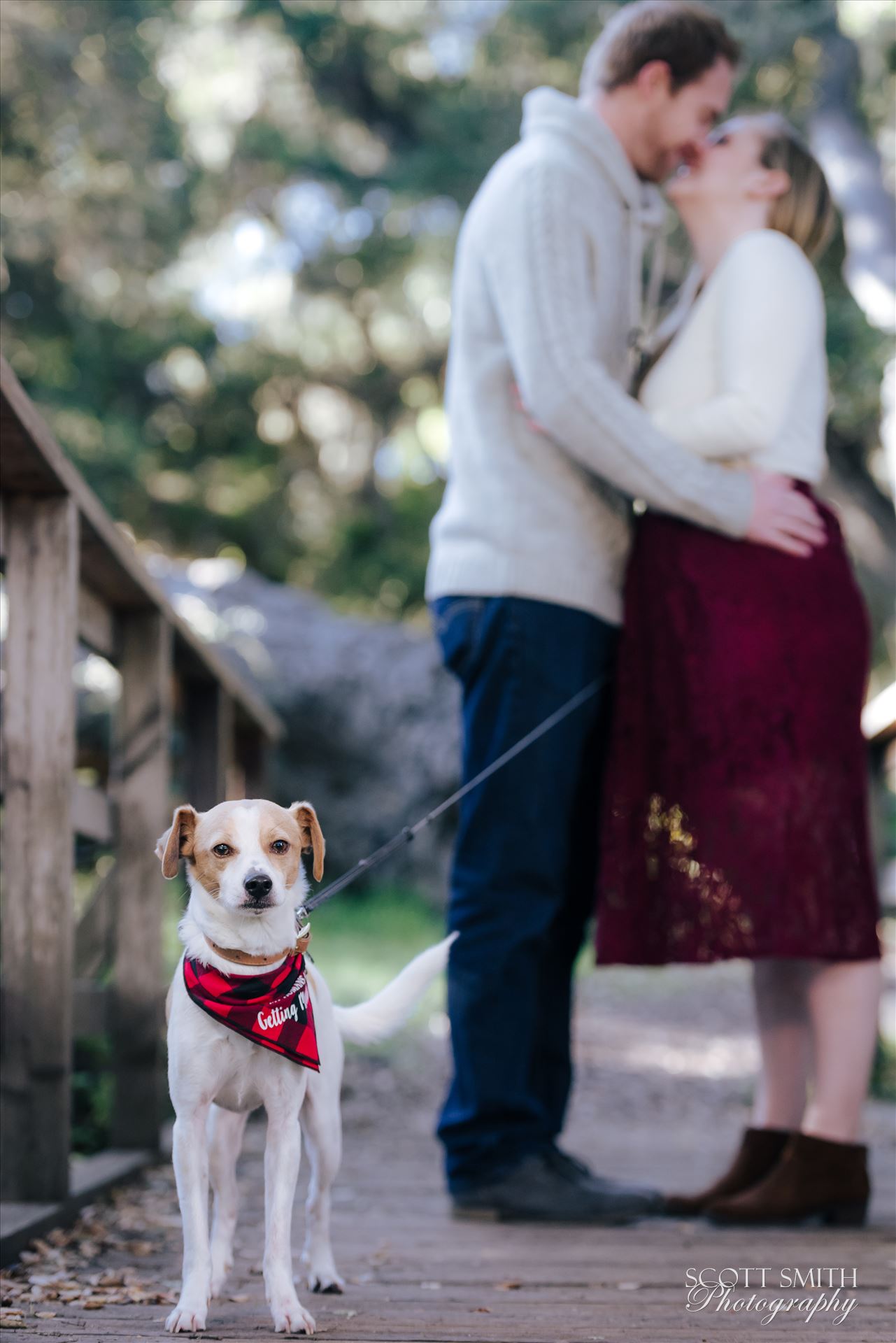 Rachel and David 4  by Scott Smith Photos