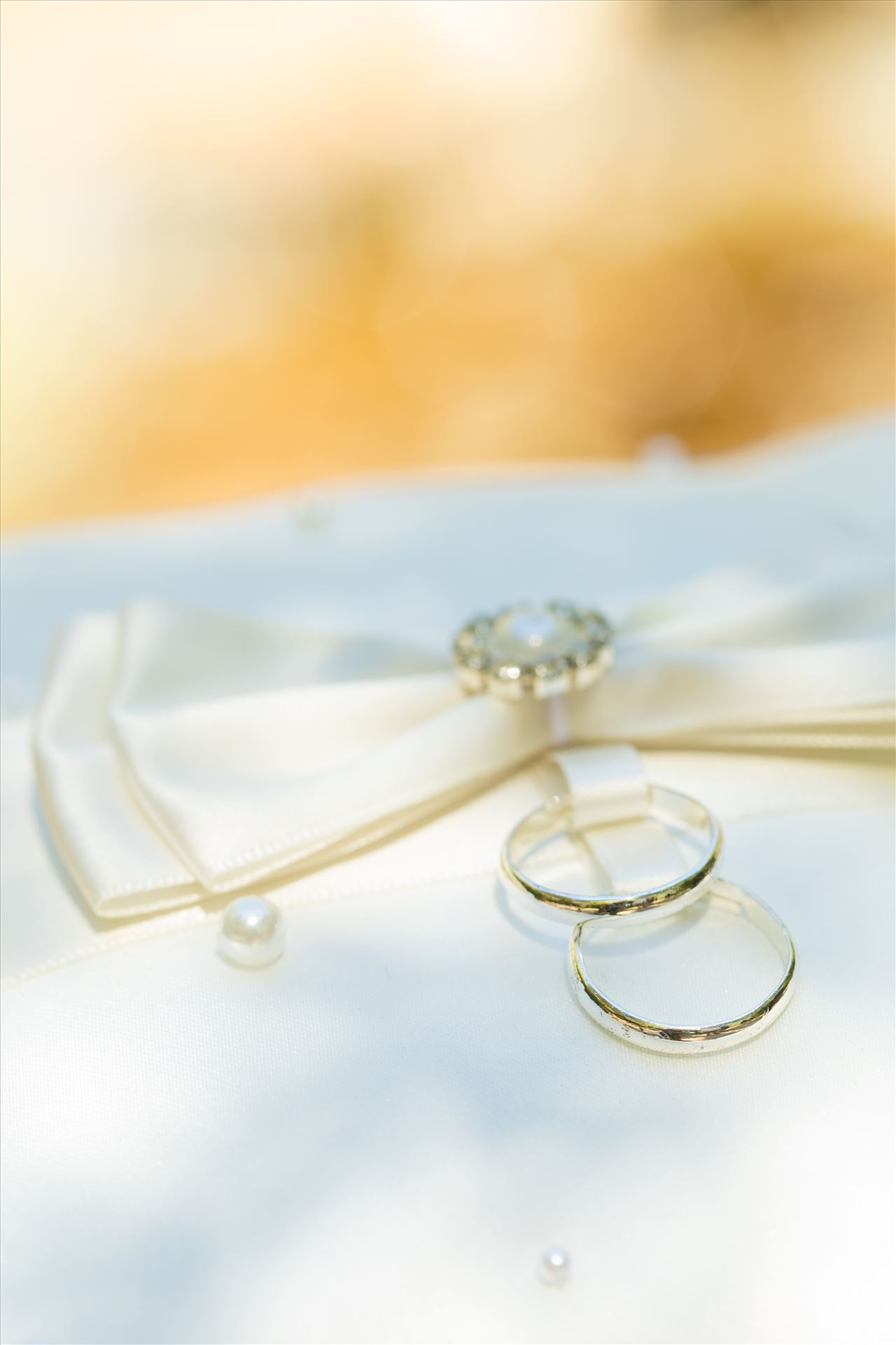 9Y9A0356.jpg  by Scott Smith Photos