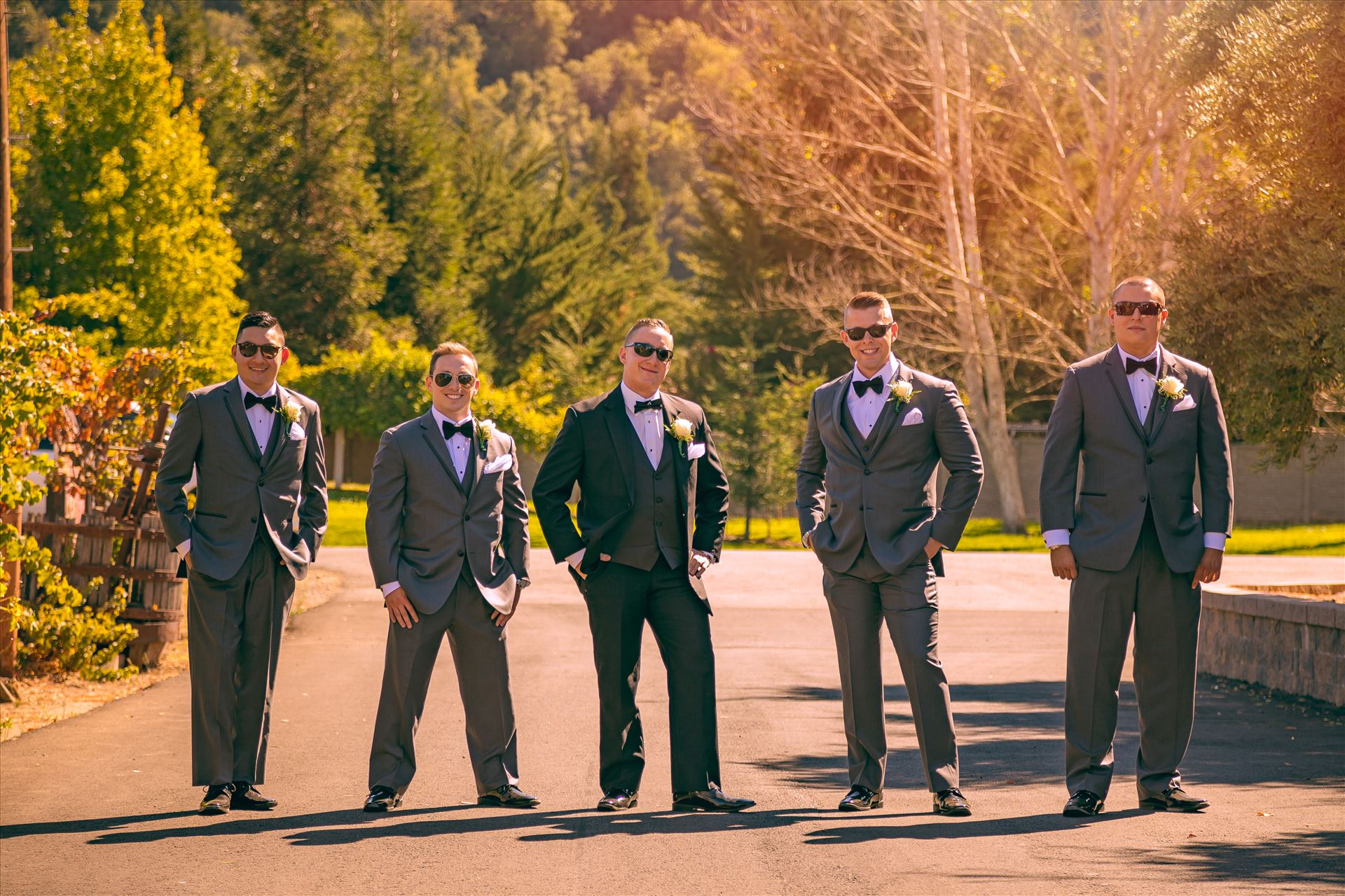 9Y9A9394-Edit.jpg  by Scott Smith Photos