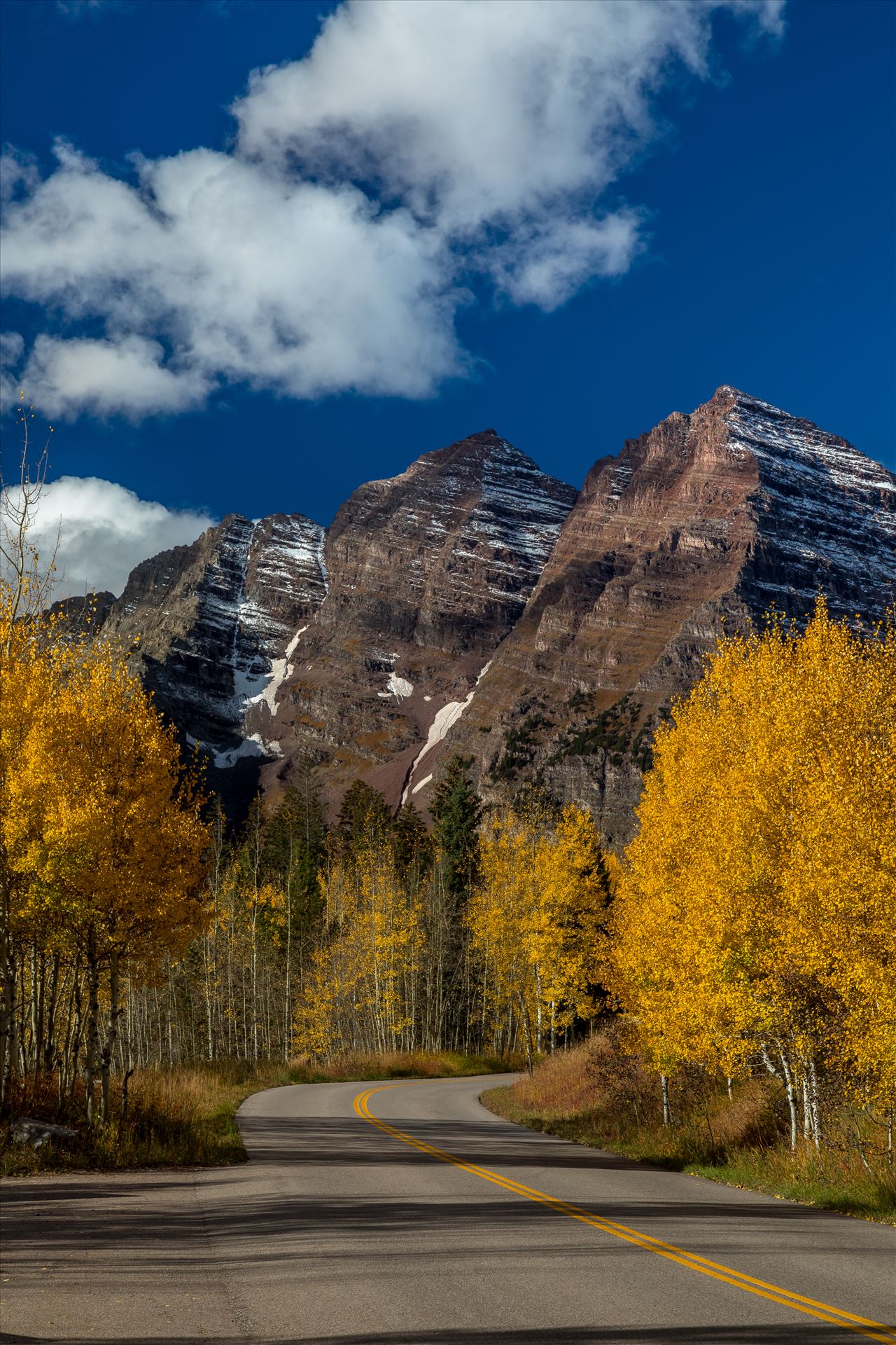 Fall in Aspen Snowmass Wilderness Area No 4  by Scott Smith Photos