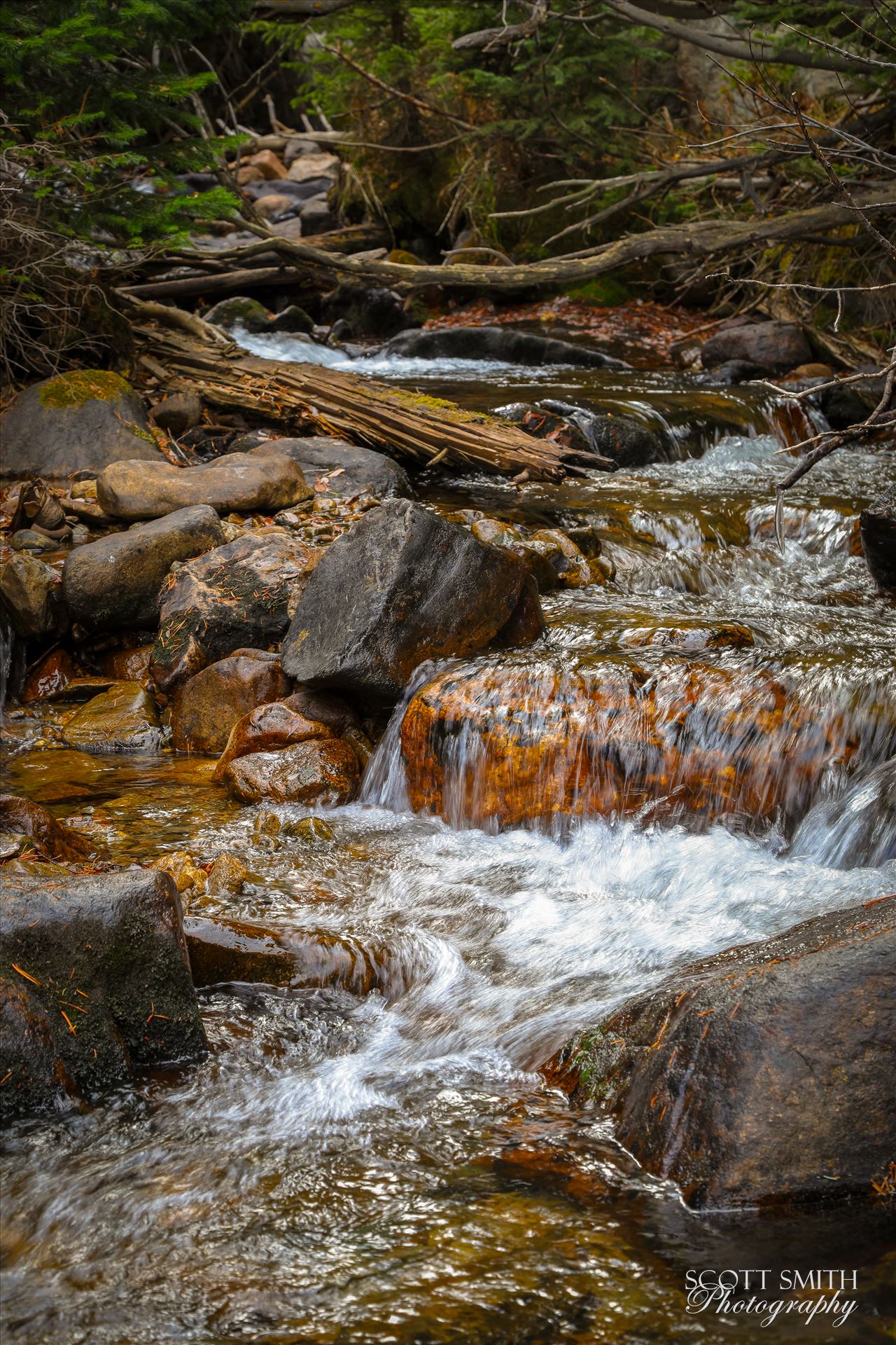 Near Alberta Falls, Rocky Mountain National Park  by Scott Smith Photos