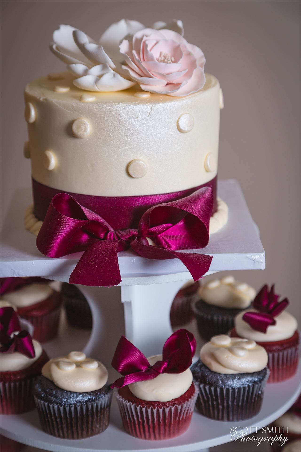 Bavisha and Andre Sample 01  by Scott Smith Photos