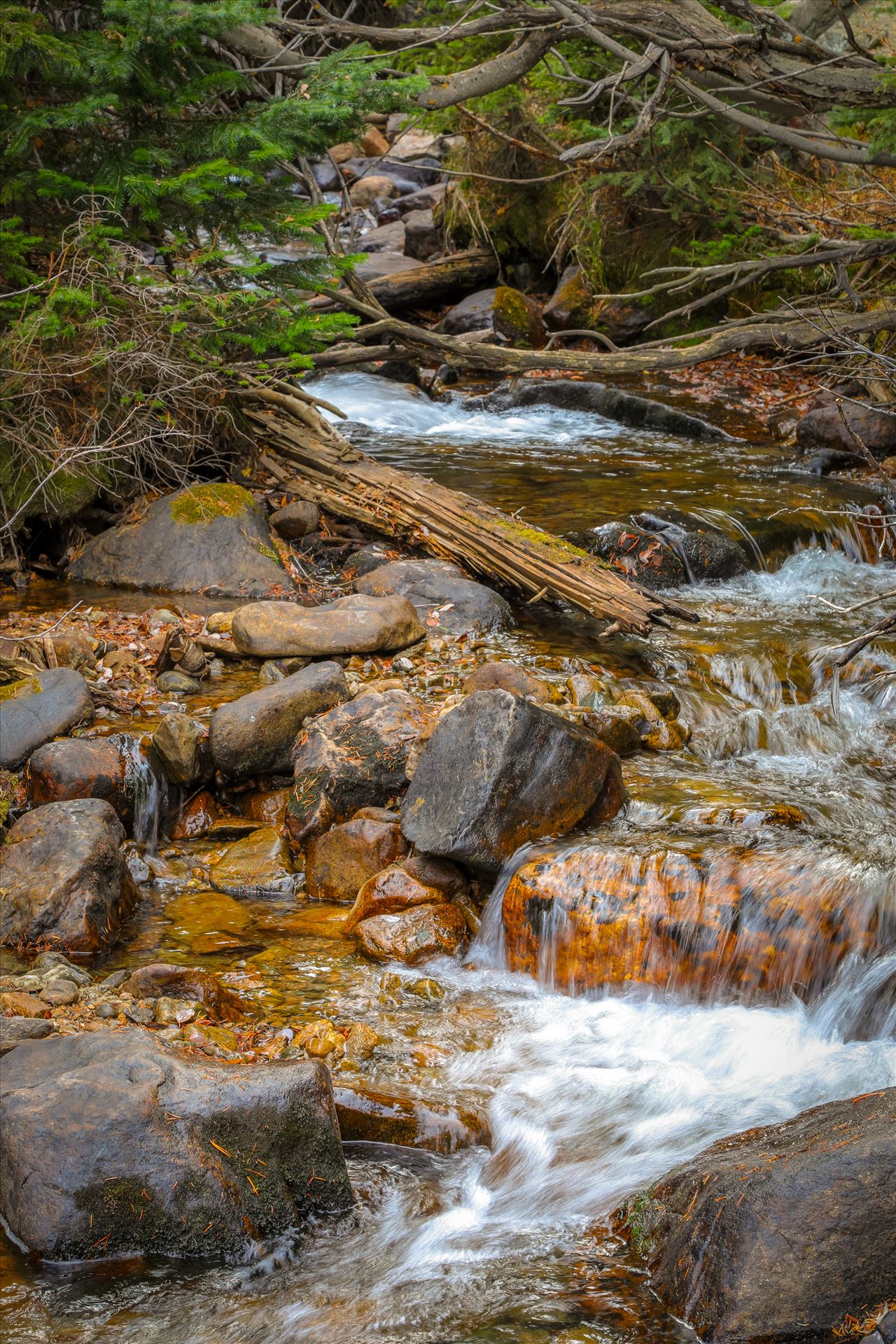 9Y9A5333.jpg  by Scott Smith Photos