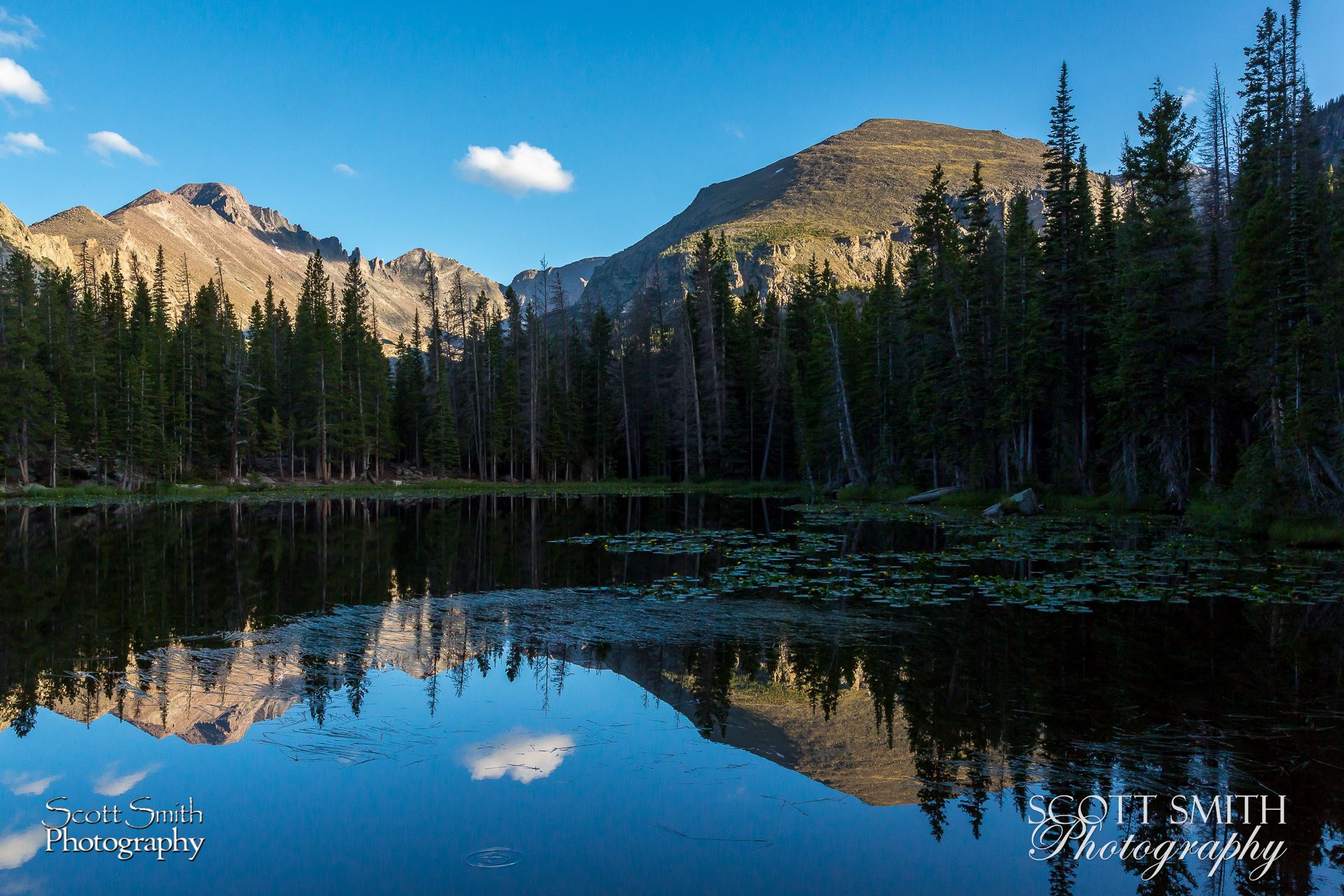 Bear Lake Trail 9  by Scott Smith Photos