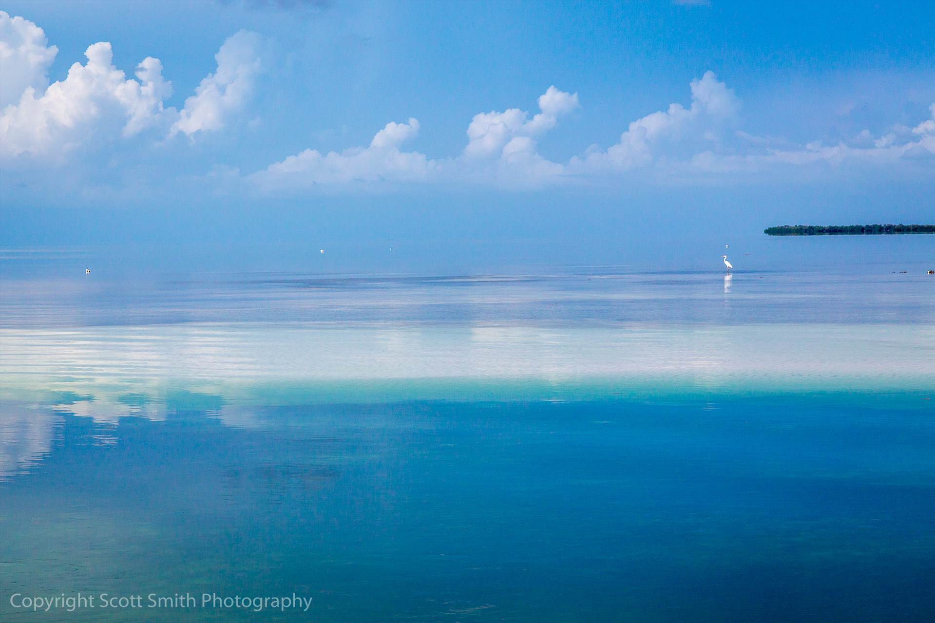 Blended Horizon The horizon blends in with the water in this shot from a sand bar  west of Key West in the Gulf of Mexico. by Scott Smith Photos