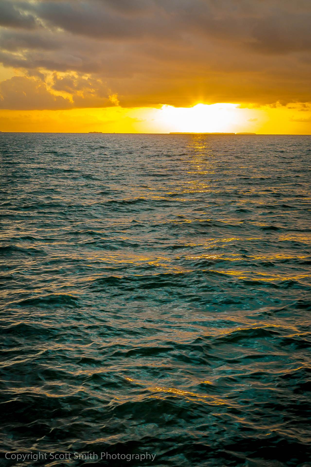 Key West Sunset  by Scott Smith Photos