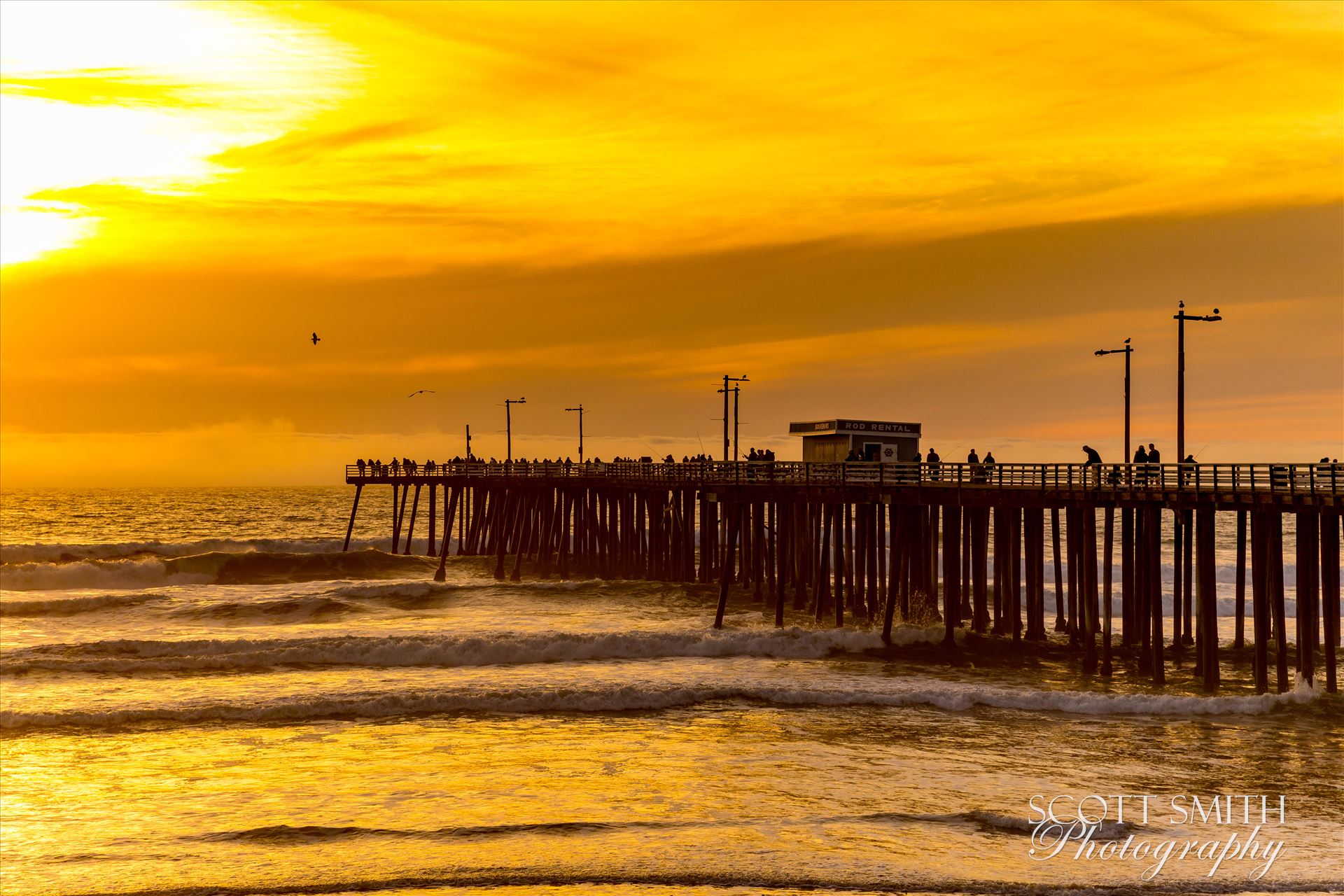 Sunset on the Pier  by Scott Smith Photos