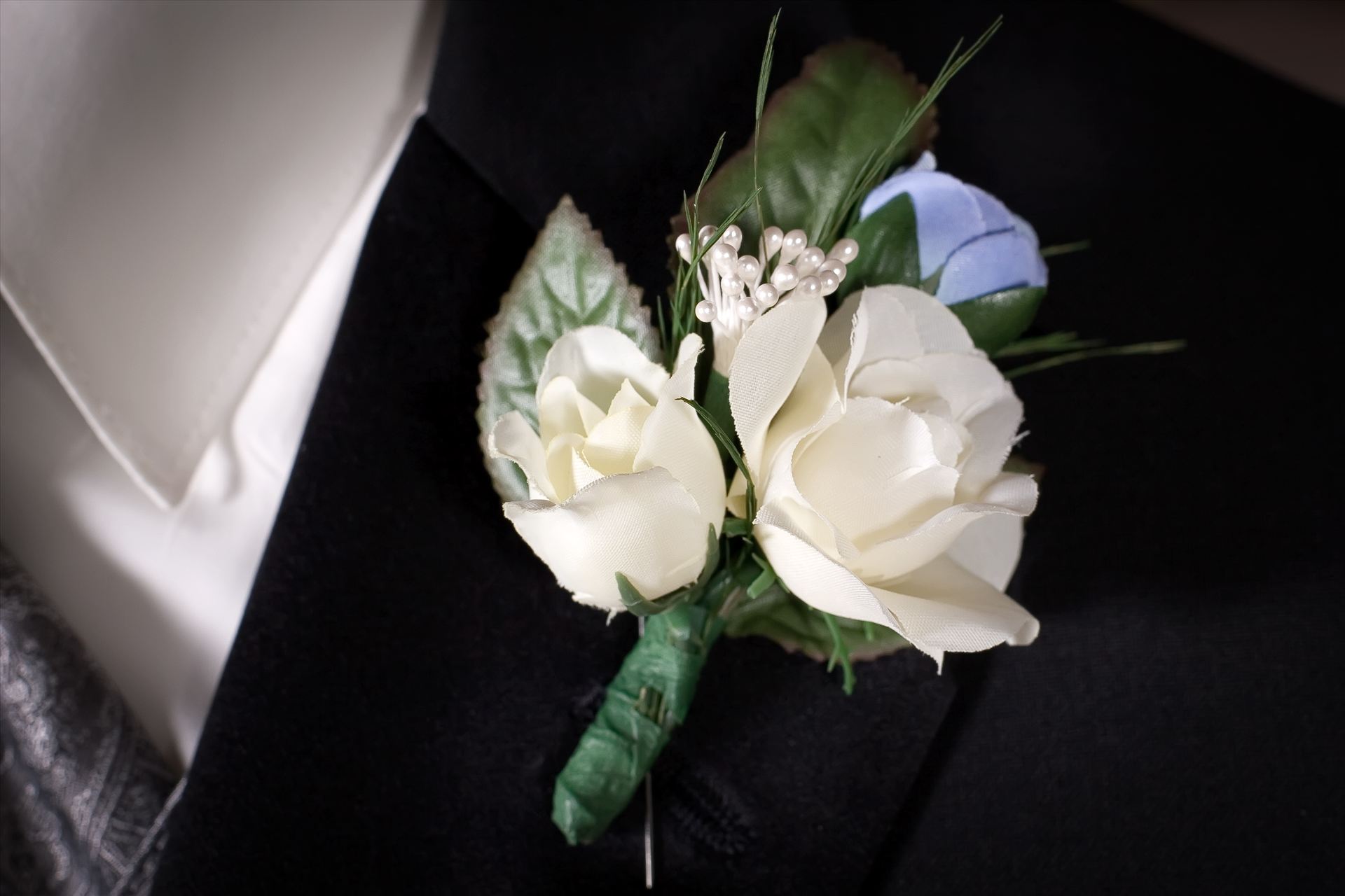 IMG_0685.jpg  by Scott Smith Photos