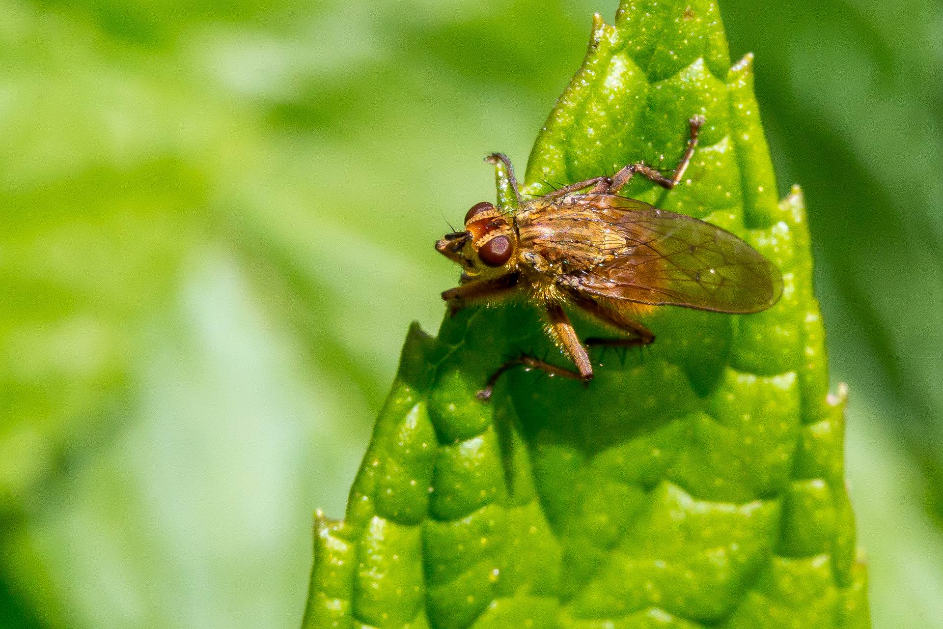 BC4C2563.jpg  by Scott Smith Photos