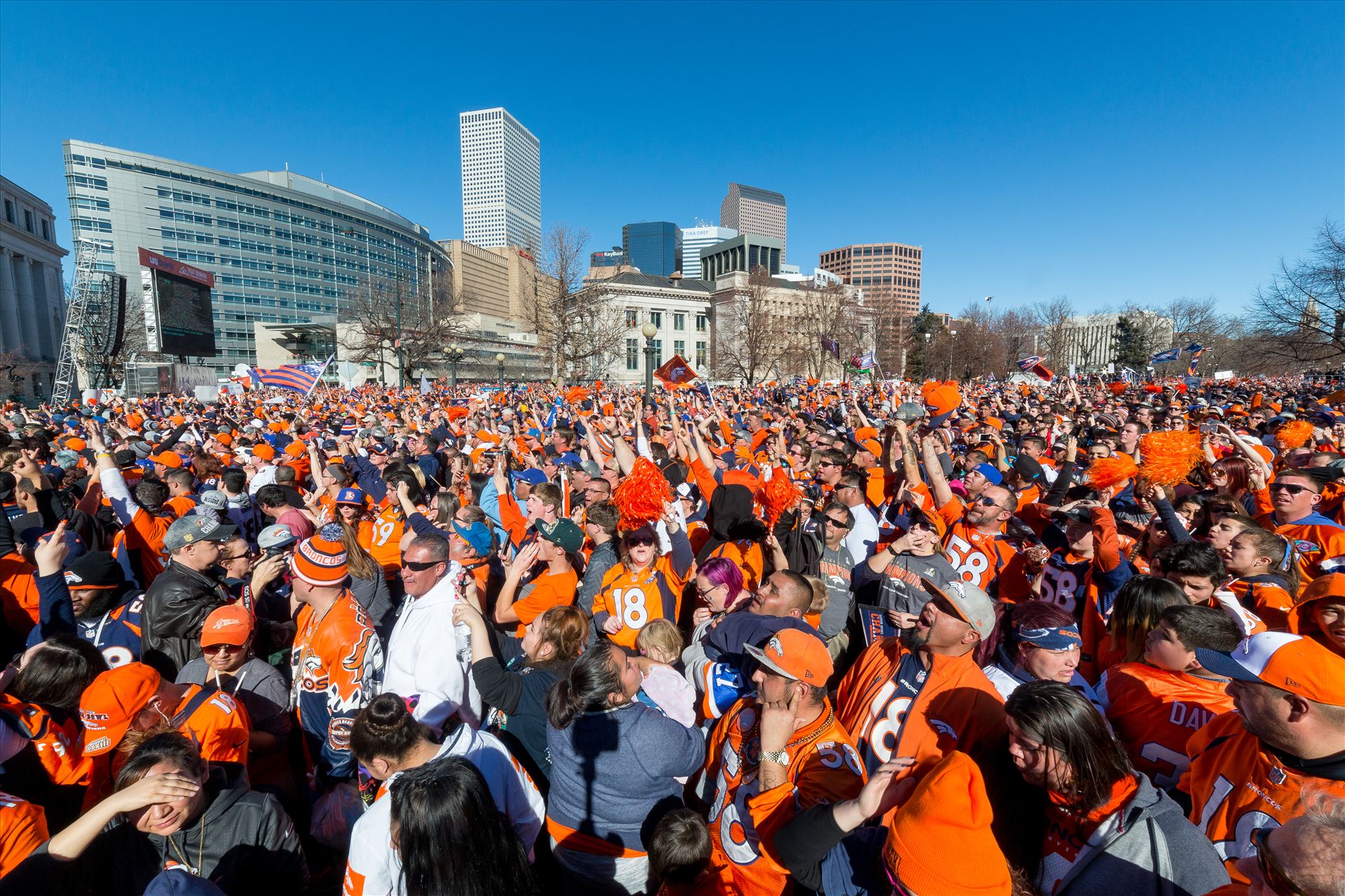 Broncos Fans 2 The best fans in the world descend on Civic Center Park in Denver Colorado for the Broncos Superbowl victory celebration. by Scott Smith Photos