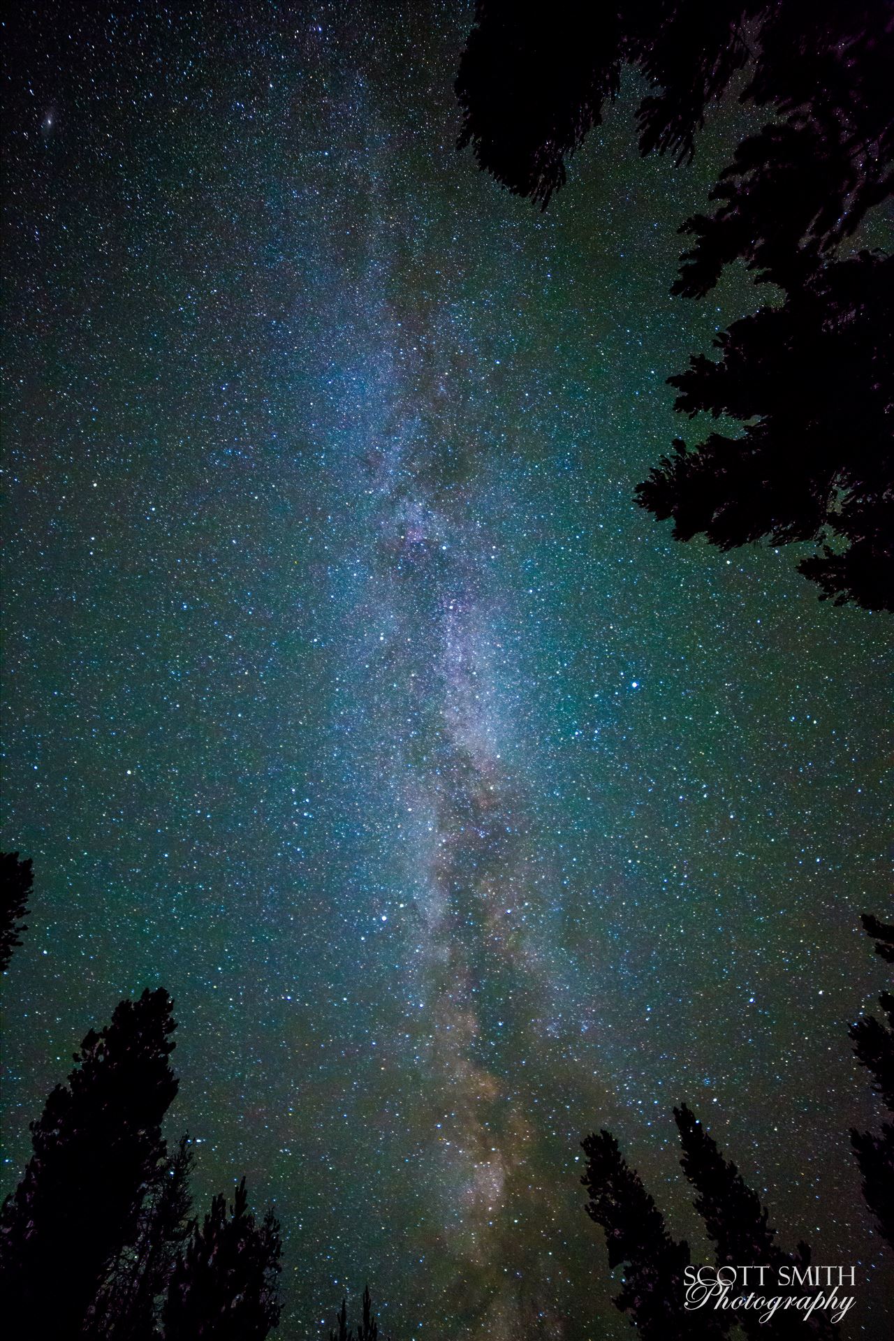 BC4C1650.jpg  by Scott Smith Photos