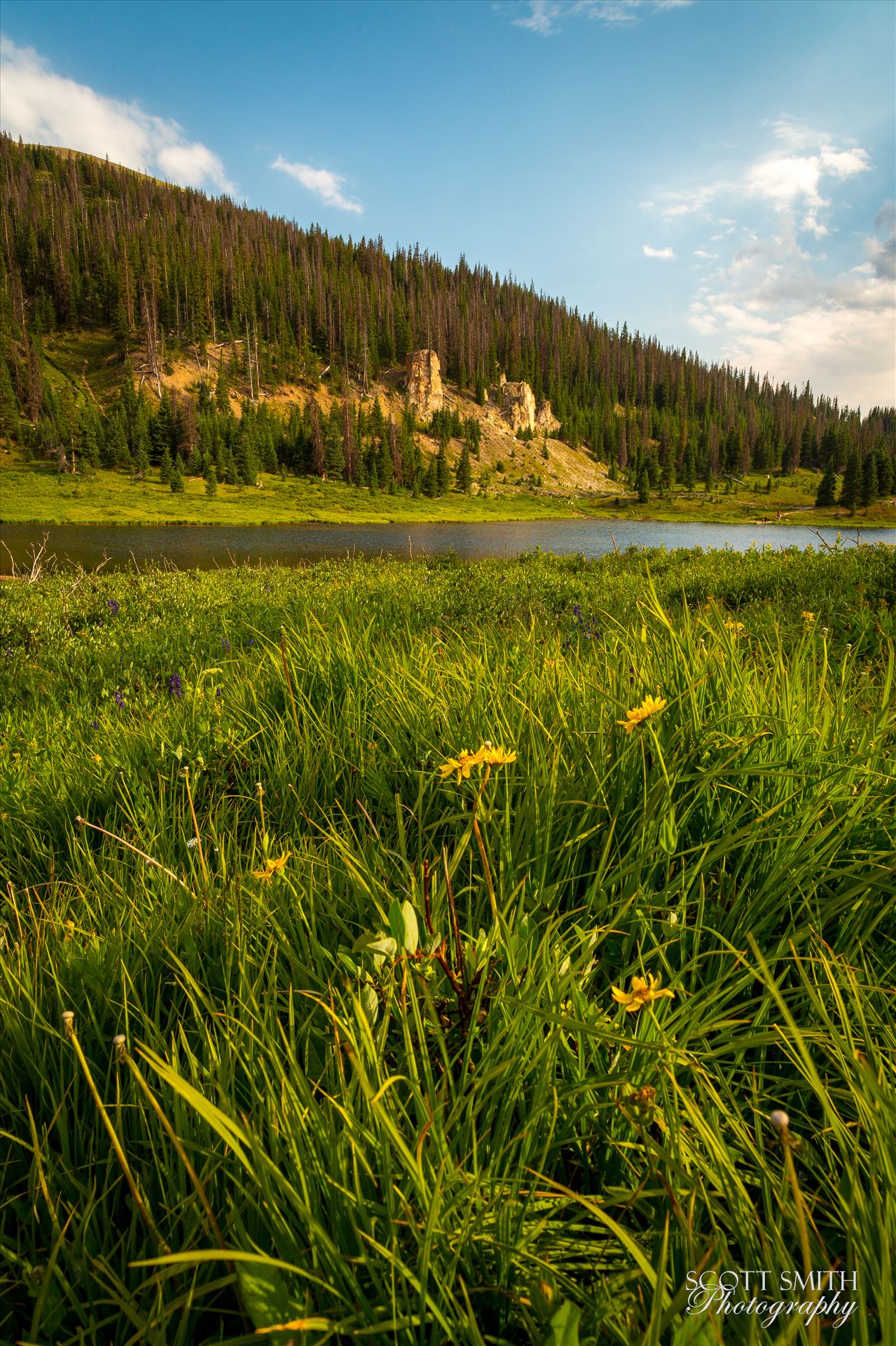 Poudre Lake Evening sun lights the hills around Poudre Lake, on Trail Ridge Road. by Scott Smith Photos