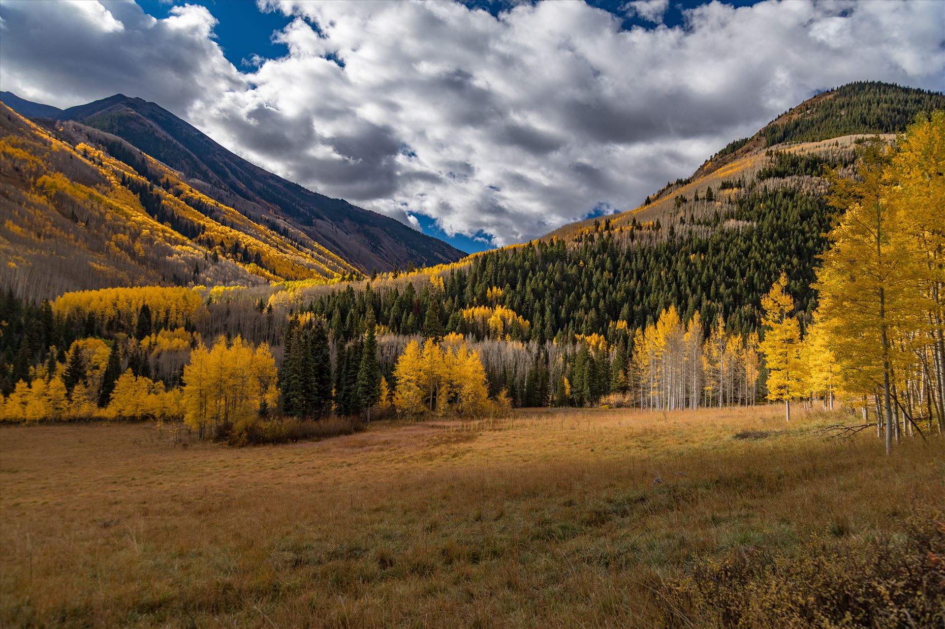 Fall in Aspen Snowmass Wilderness Area No 1  by Scott Smith Photos