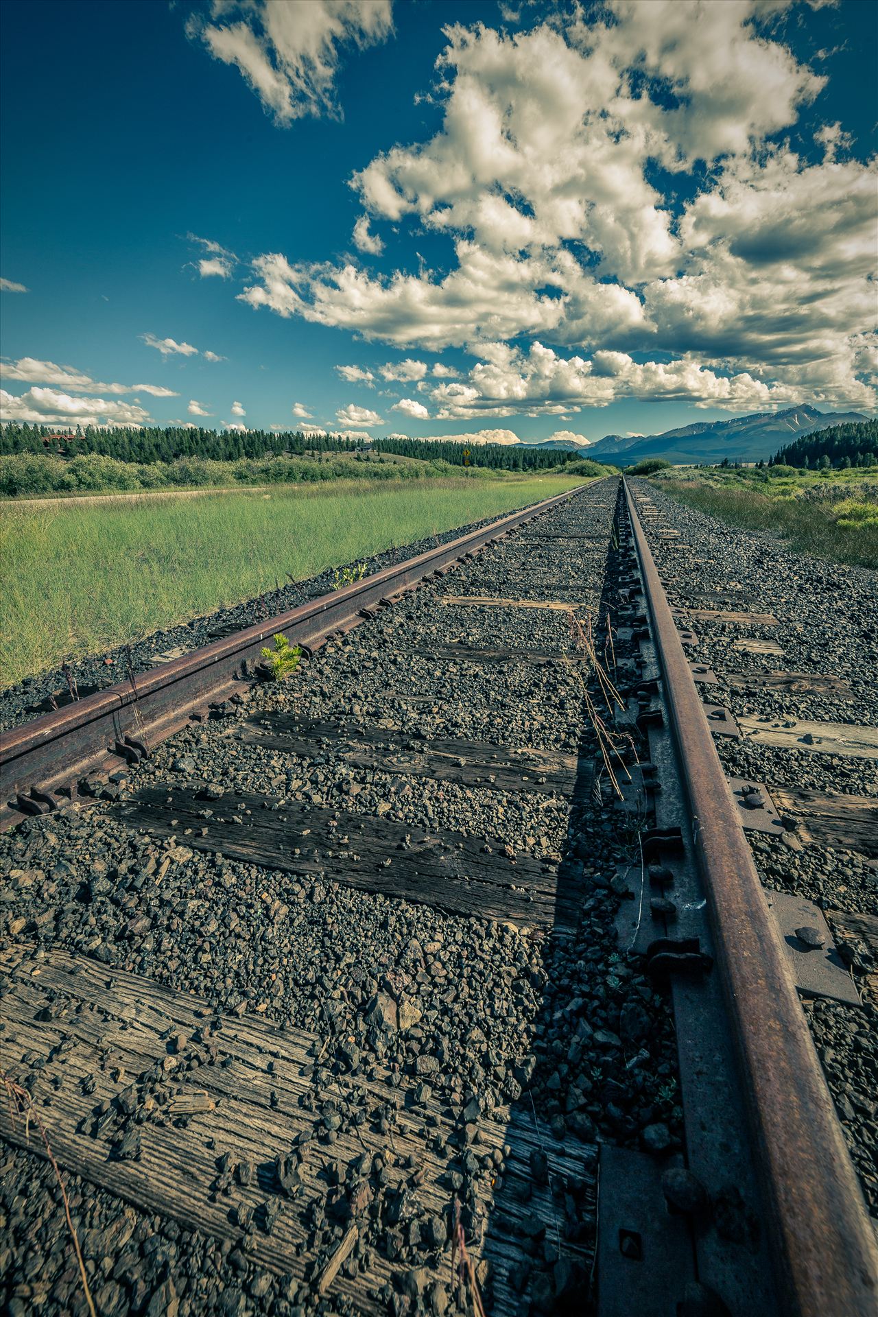 On the Tracks Railroad tracks outside of Leadville, Colorado. by Scott Smith Photos