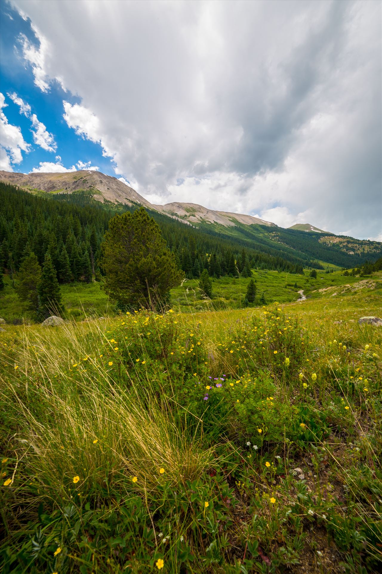 Independence Pass 03  by Scott Smith Photos