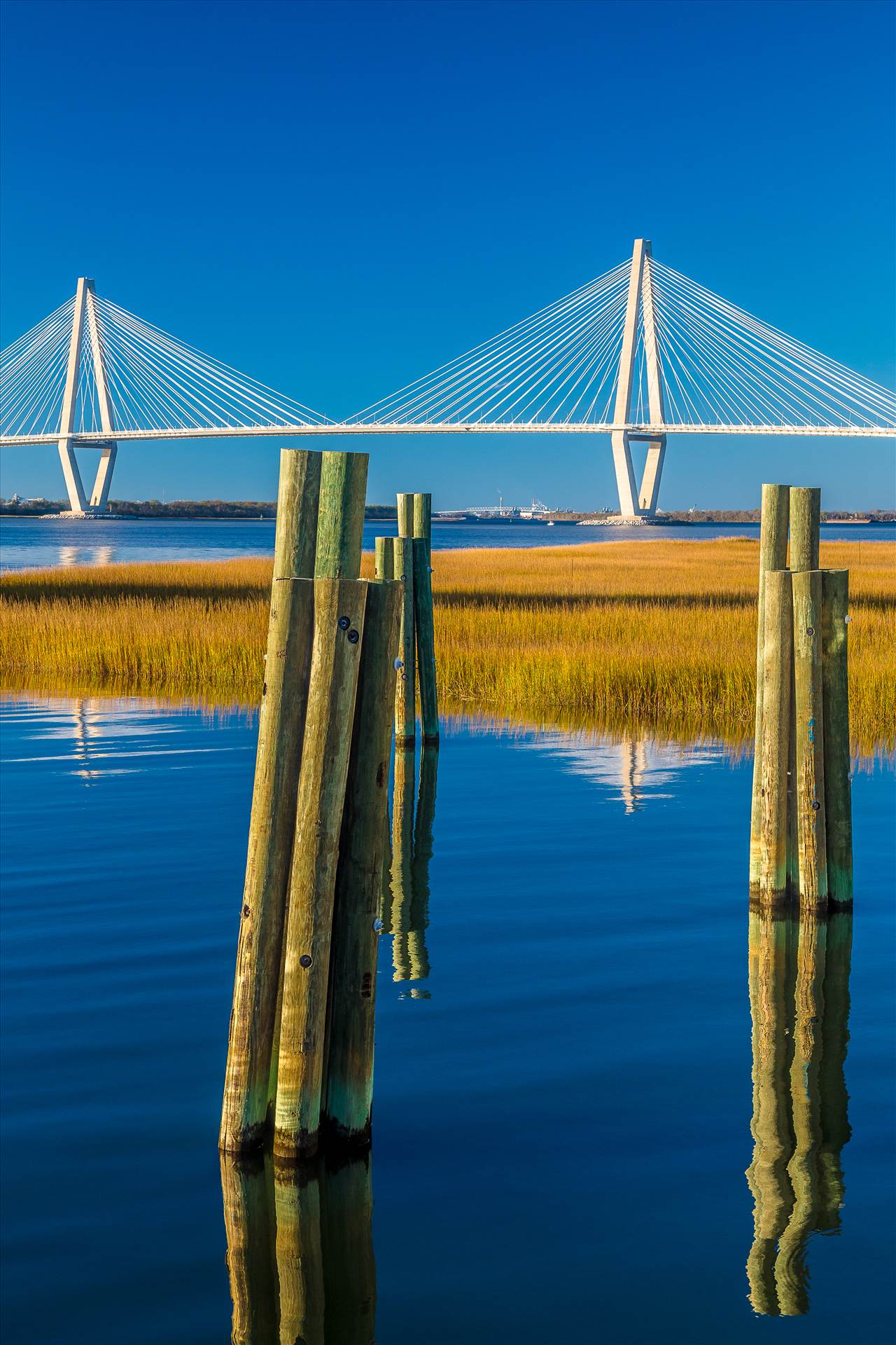 Arthur Ravenel Jr. Bridge From Patriots Point From Patriots Point Naval & Maritime Museum in Charleston, South Carolina. by Scott Smith Photos