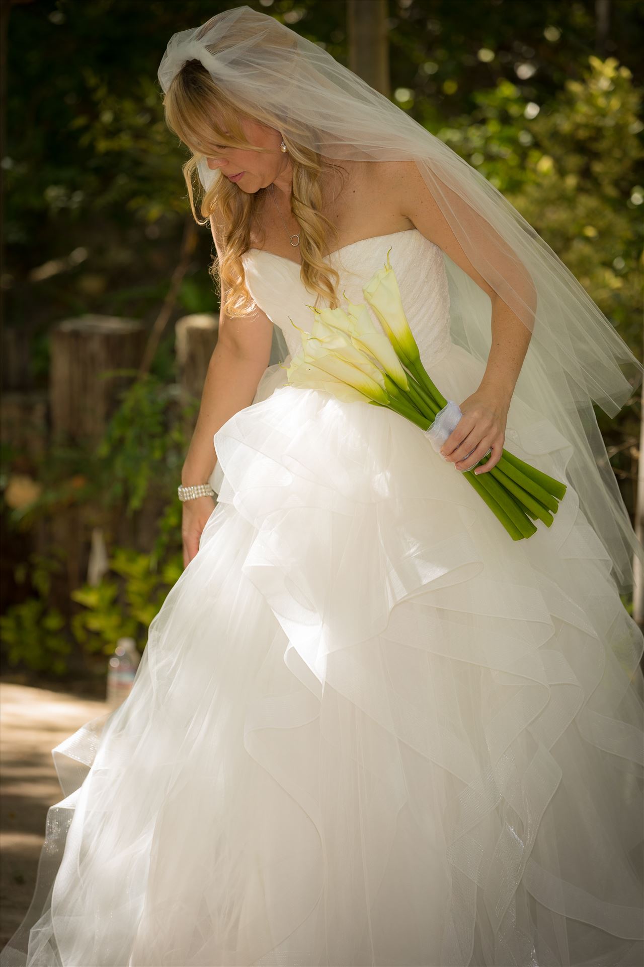 9Y9A0410.jpg  by Scott Smith Photos