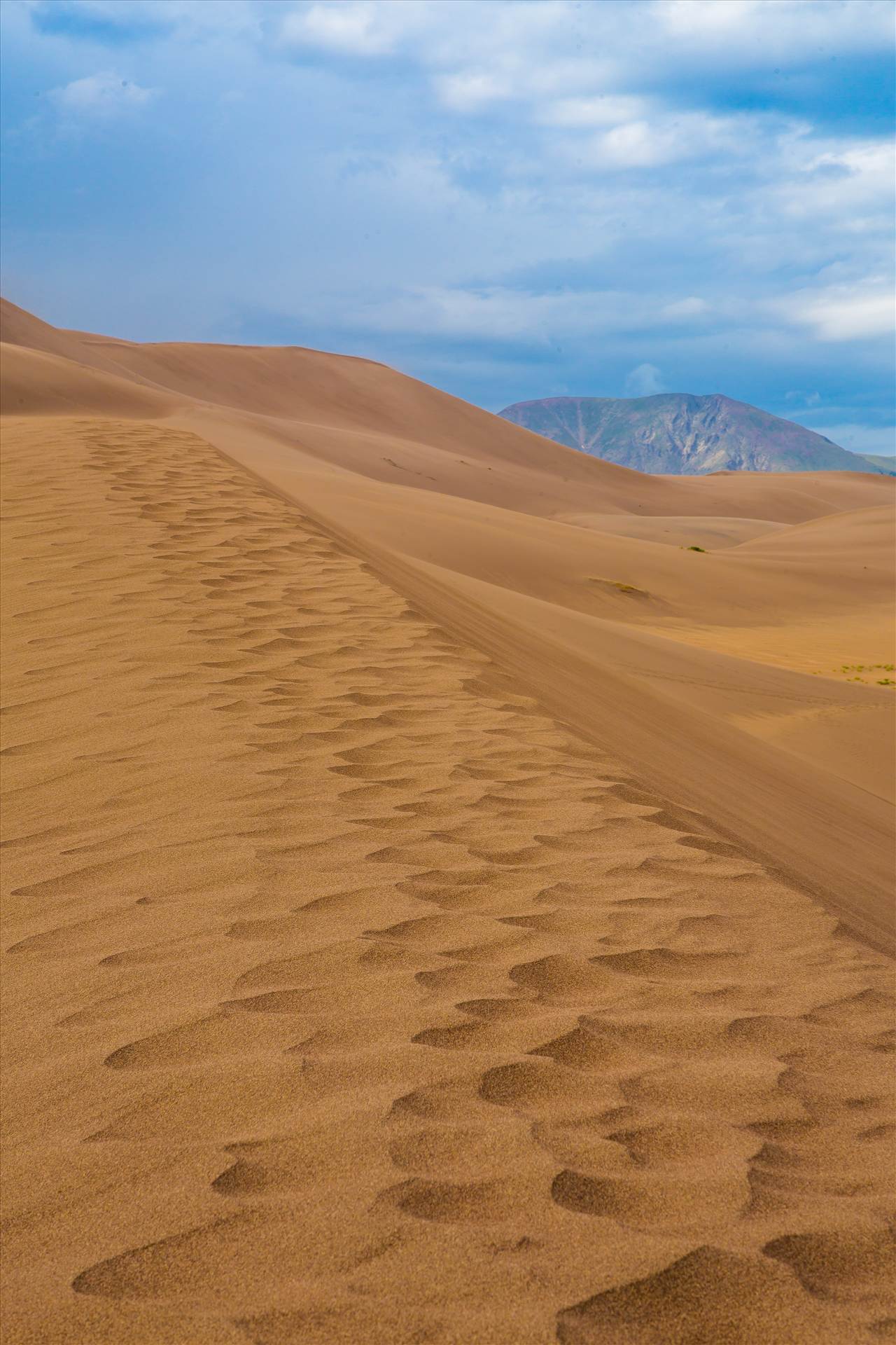 Great Sand Dunes 5  by Scott Smith Photos