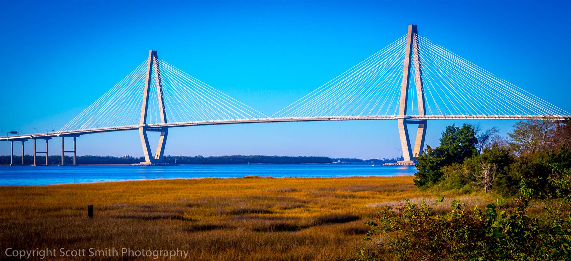 Arthur J Ravenel Bridge in Charleston  by Scott Smith Photos