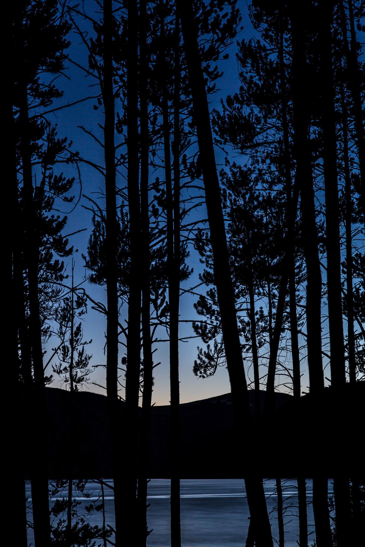 Through the Woods Turqouise through the trees, Lake lit by the last of the sunlight, as seen from our campsite. by Scott Smith Photos