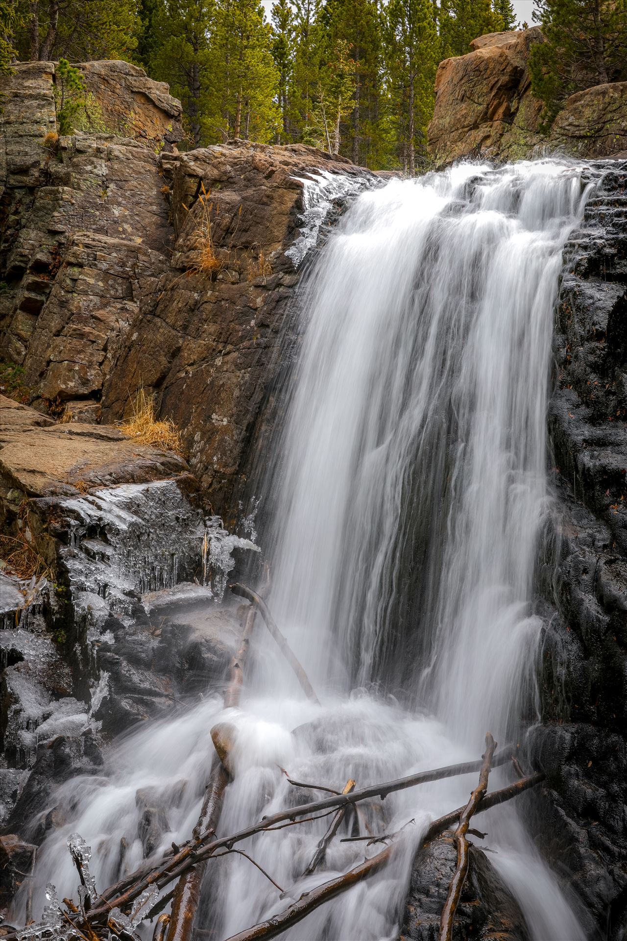 9Y9A5383.jpg  by Scott Smith Photos