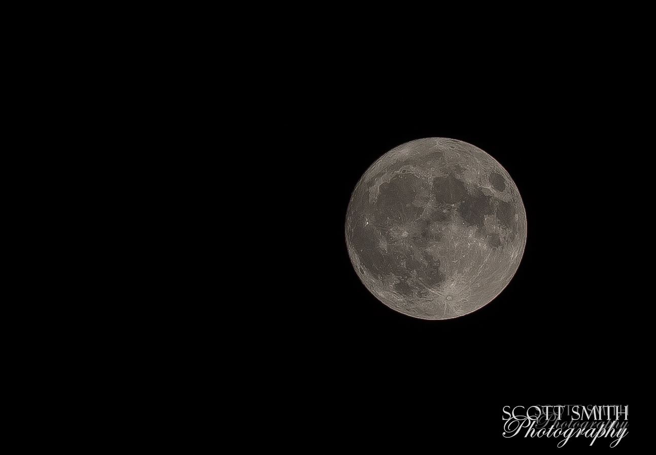 9Y9A5841.jpg Supermoon tonight. I don't have a super long lens anymore - this is a heavy crop, best I can do with a 200mm.

Canon 5DMk4, Canon 70-200 f/2.8 L II, ISO 100, f/8.0, 200mm. by Scott Smith Photos