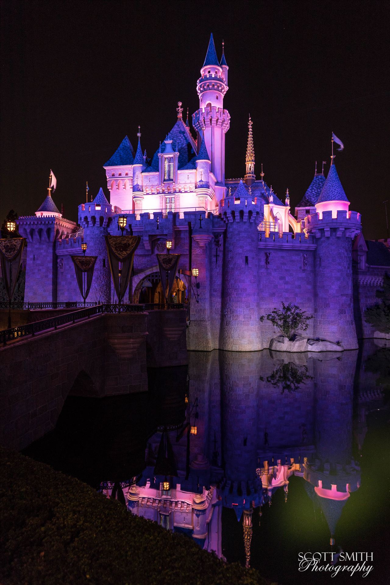 Princess Castle 2  by Scott Smith Photos