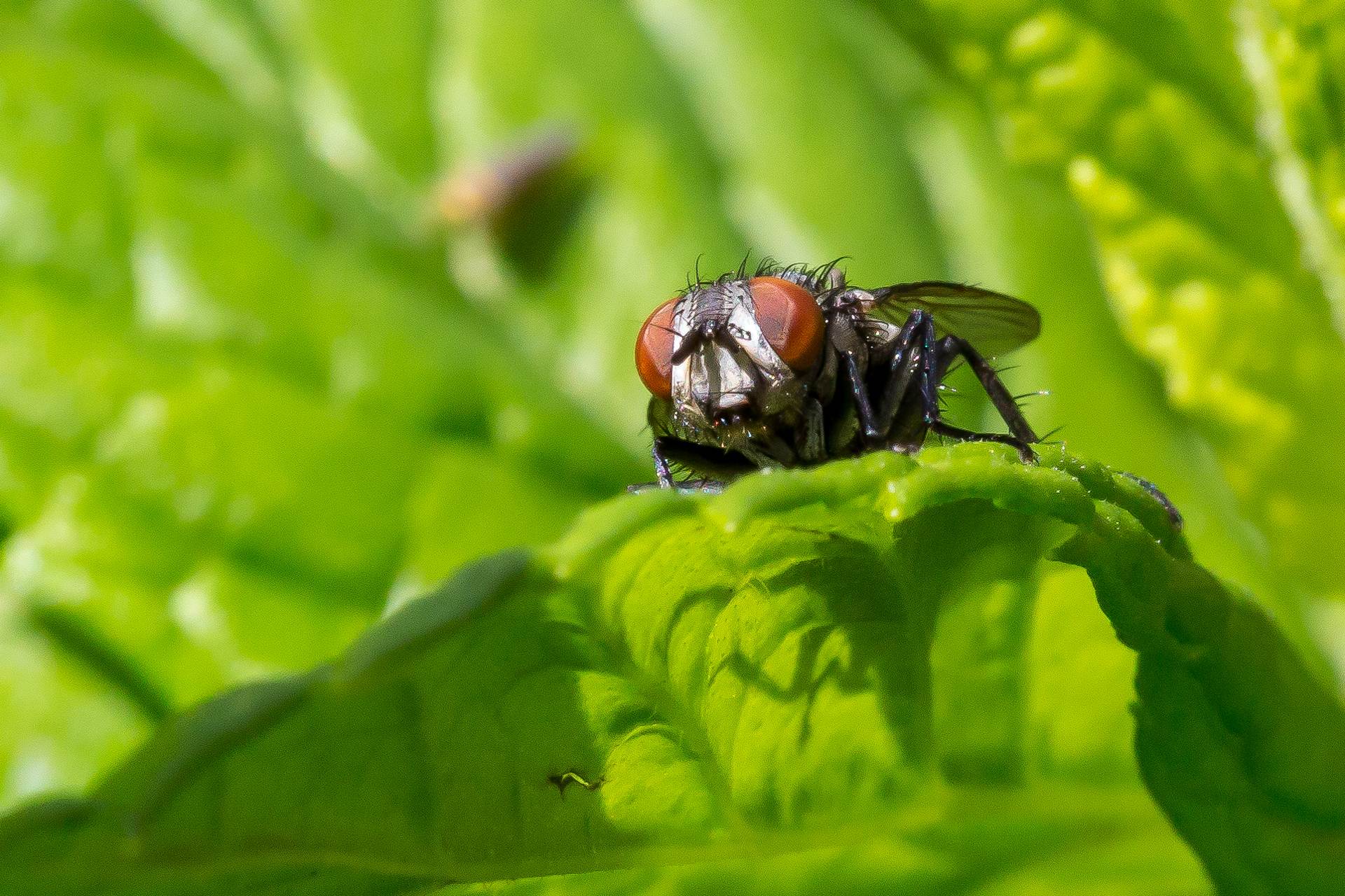 BC4C2527.jpg  by Scott Smith Photos