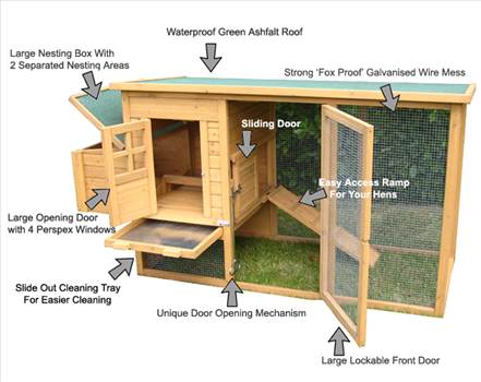 typical-chicken-coop.png - 