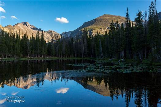 Bear Lake Trail 9 by Scott Smith Photos