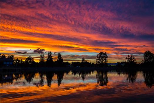 City Park Sunset II by Scott Smith Photos